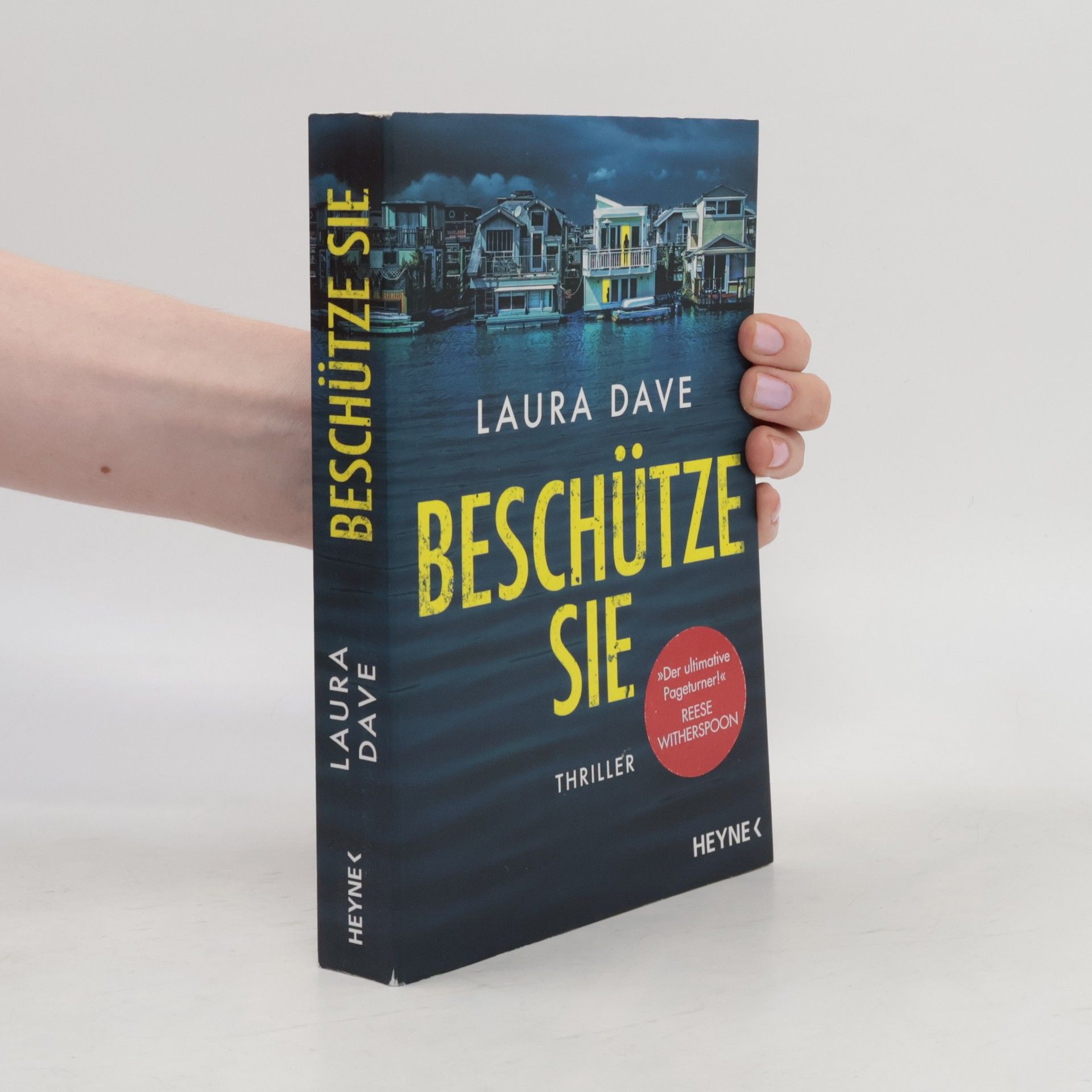 Laura Dave Beschütze sie
