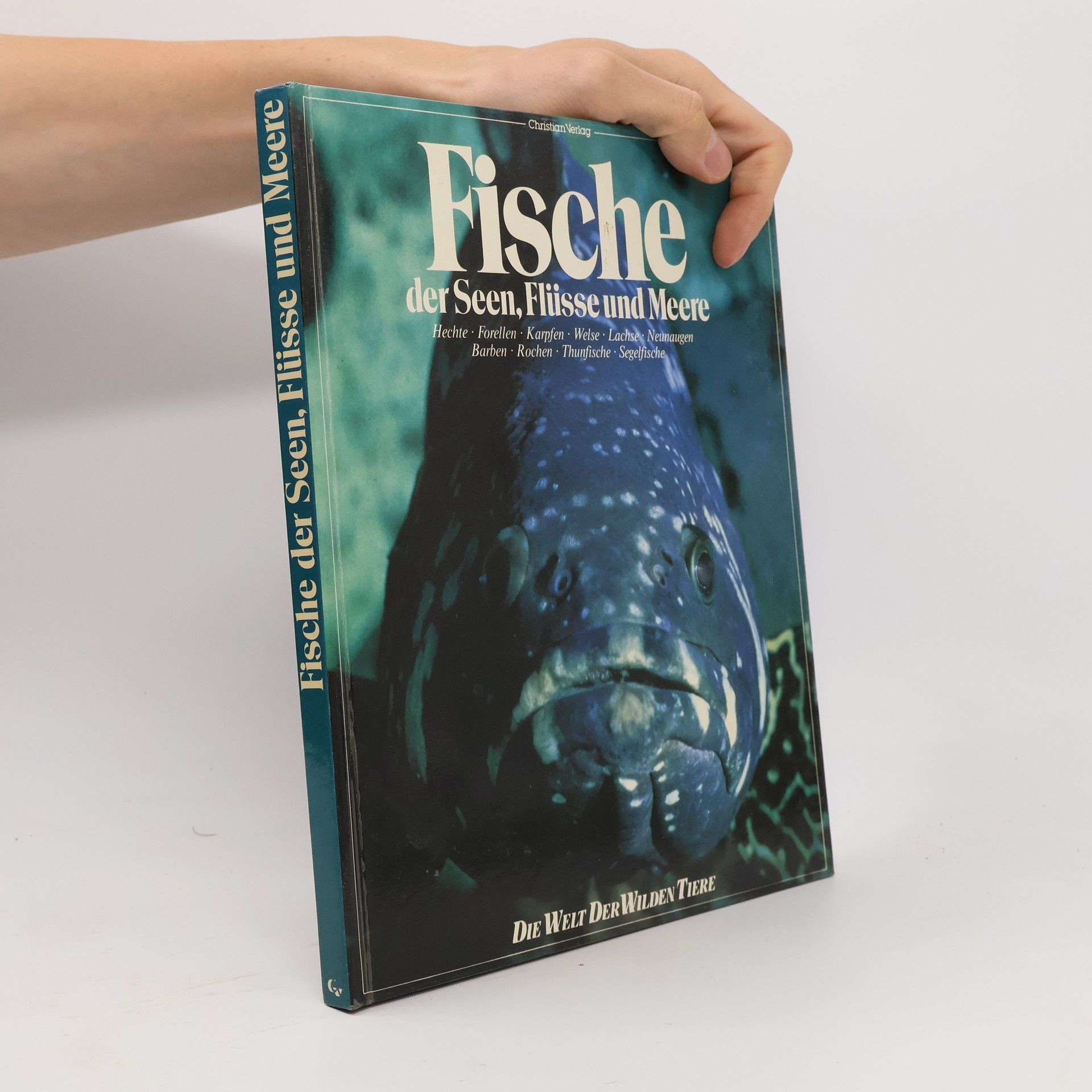 Kolektiv autorů Fische der Seen, Flüsse und Meere
