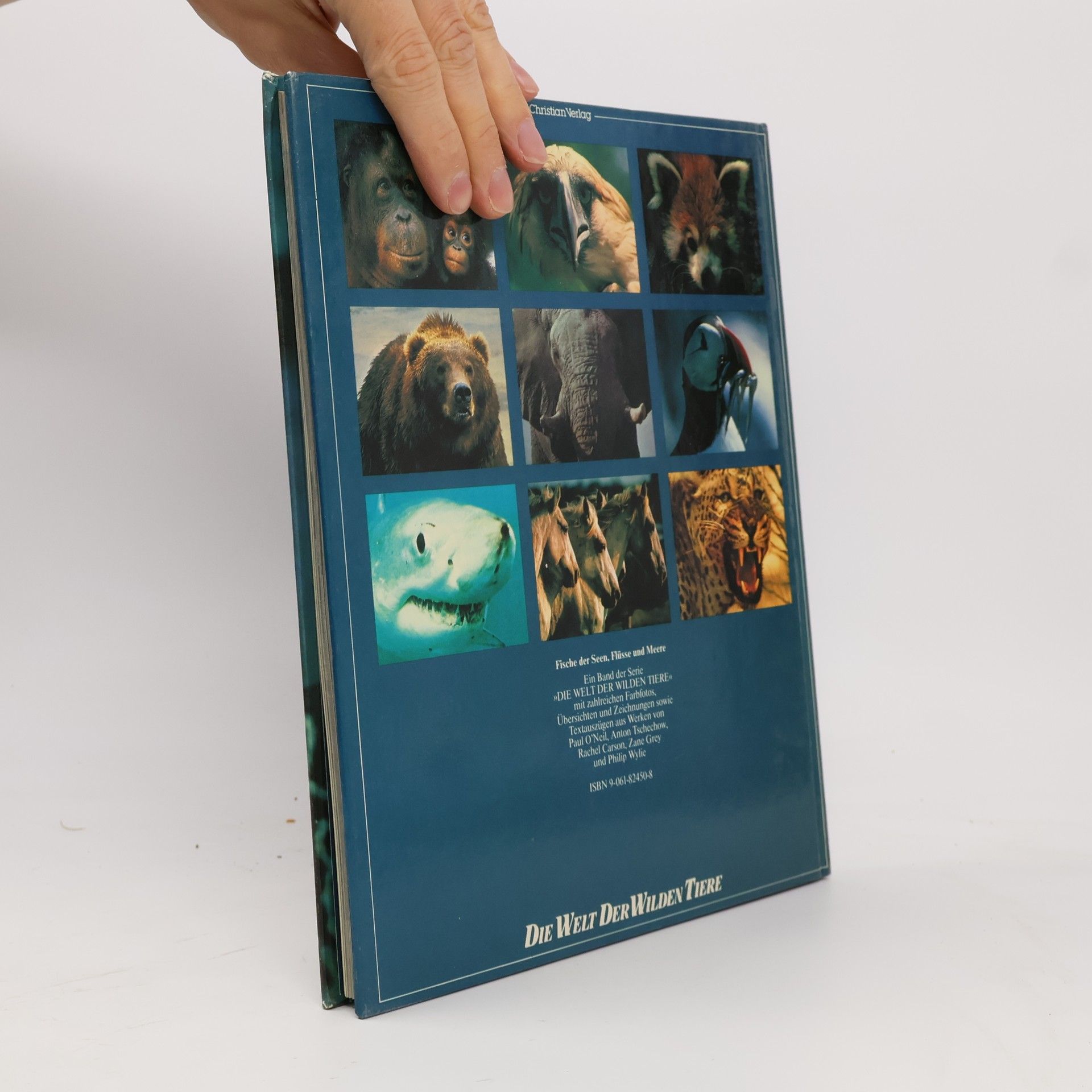 Autorenkollektiv Fische der Seen, Flüsse und Meere