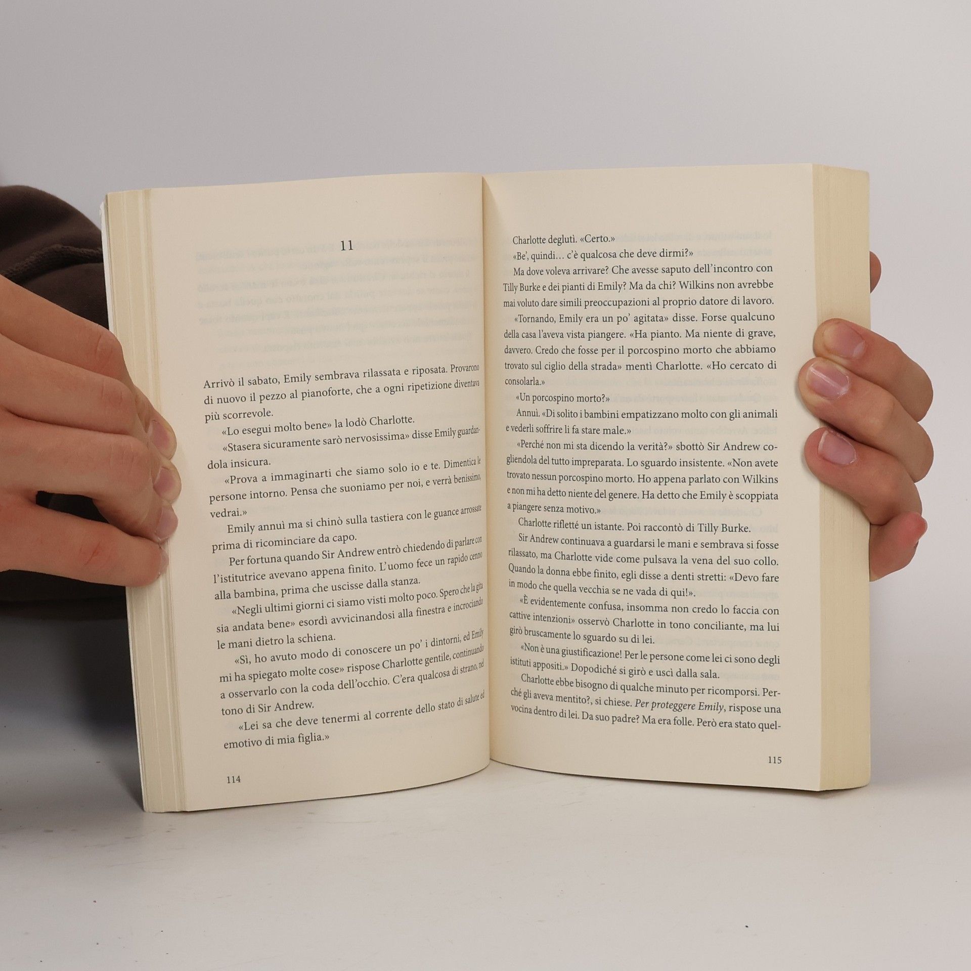 Susanne Goga I misteri di Chalk Hill