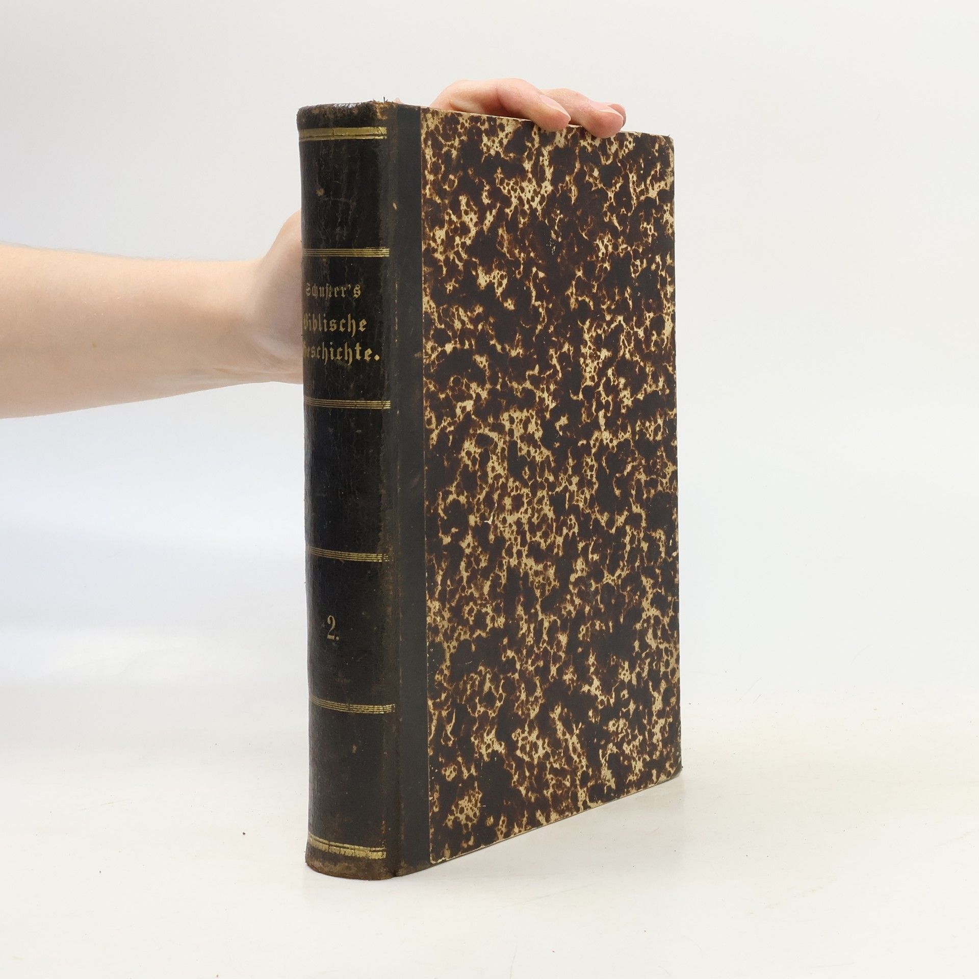 Dr. J. Schusters Handbuch zur Biblischen Geschichte des Alten und Neuen Testaments 2