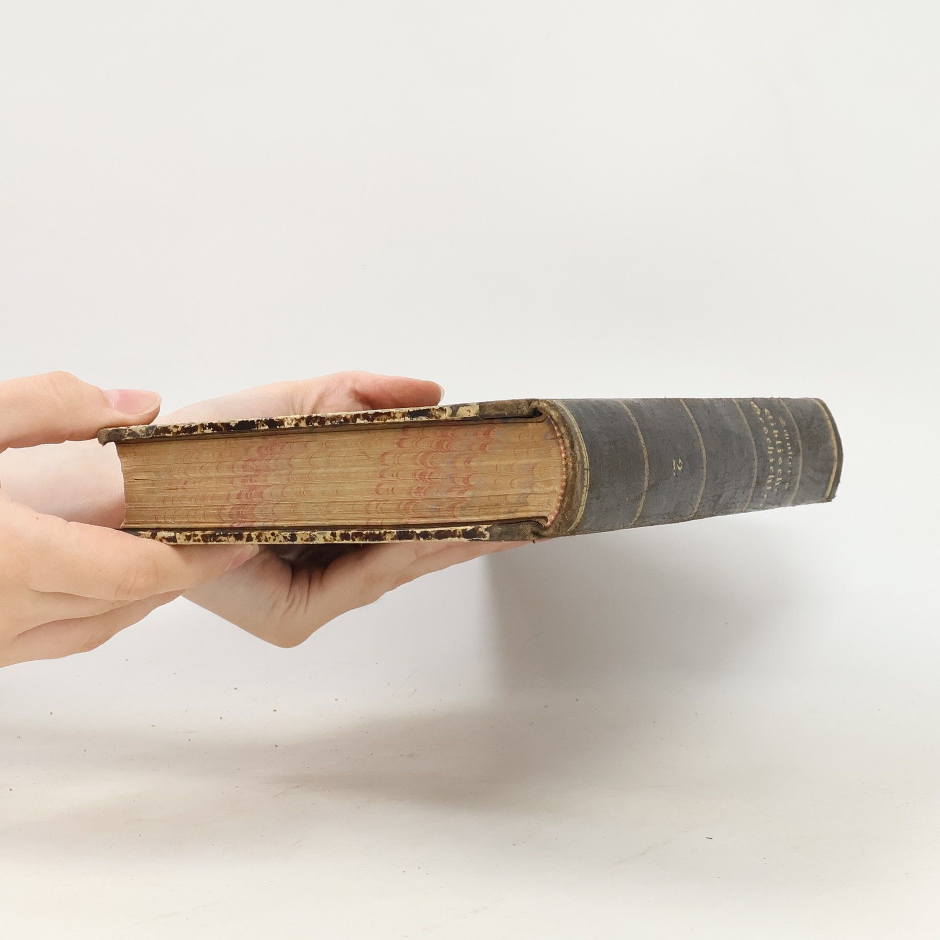 Johann Baptist Holzammer Dr. J. Schusters Handbuch zur Biblischen Geschichte des Alten und Neuen Testaments 2