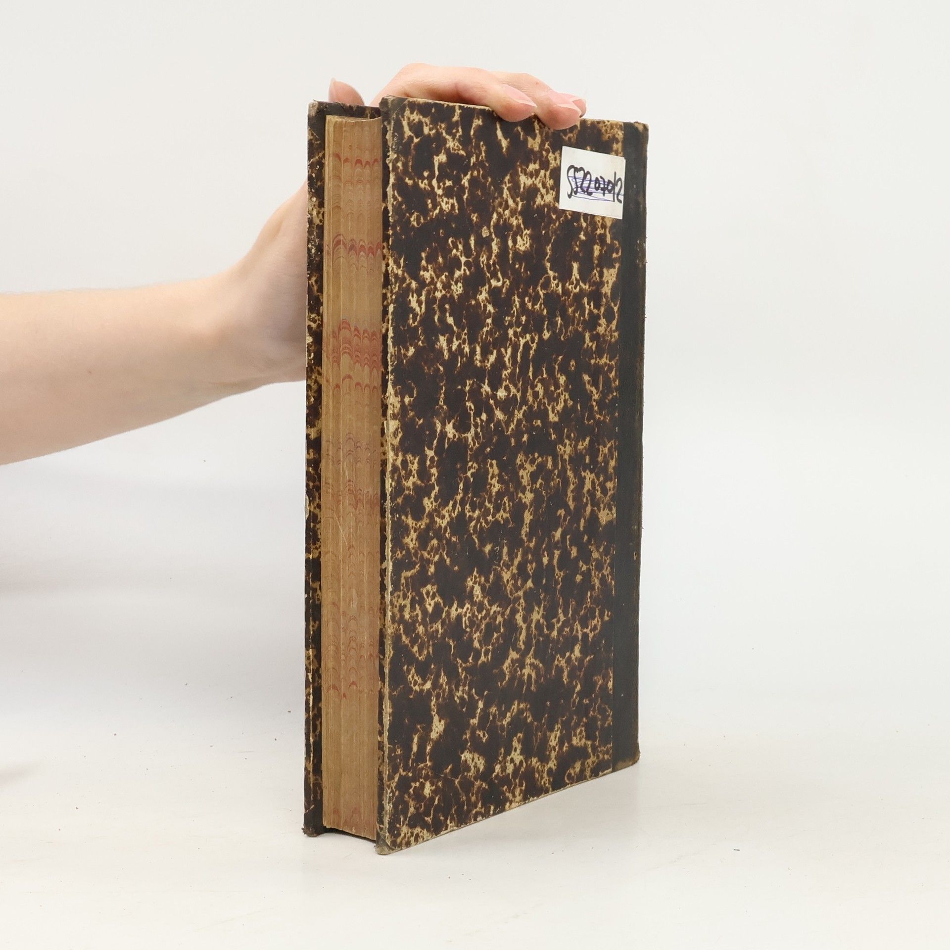 Johann Baptist Holzammer Dr. J. Schusters Handbuch zur Biblischen Geschichte des Alten und Neuen Testaments 2