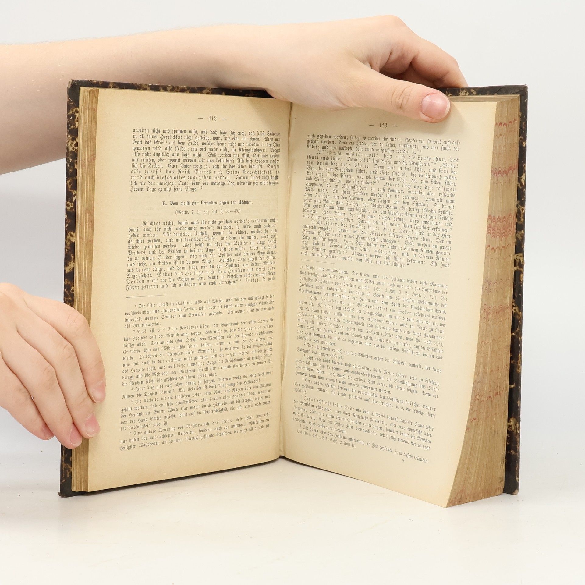 Johann Baptist Holzammer Dr. J. Schusters Handbuch zur Biblischen Geschichte des Alten und Neuen Testaments 2
