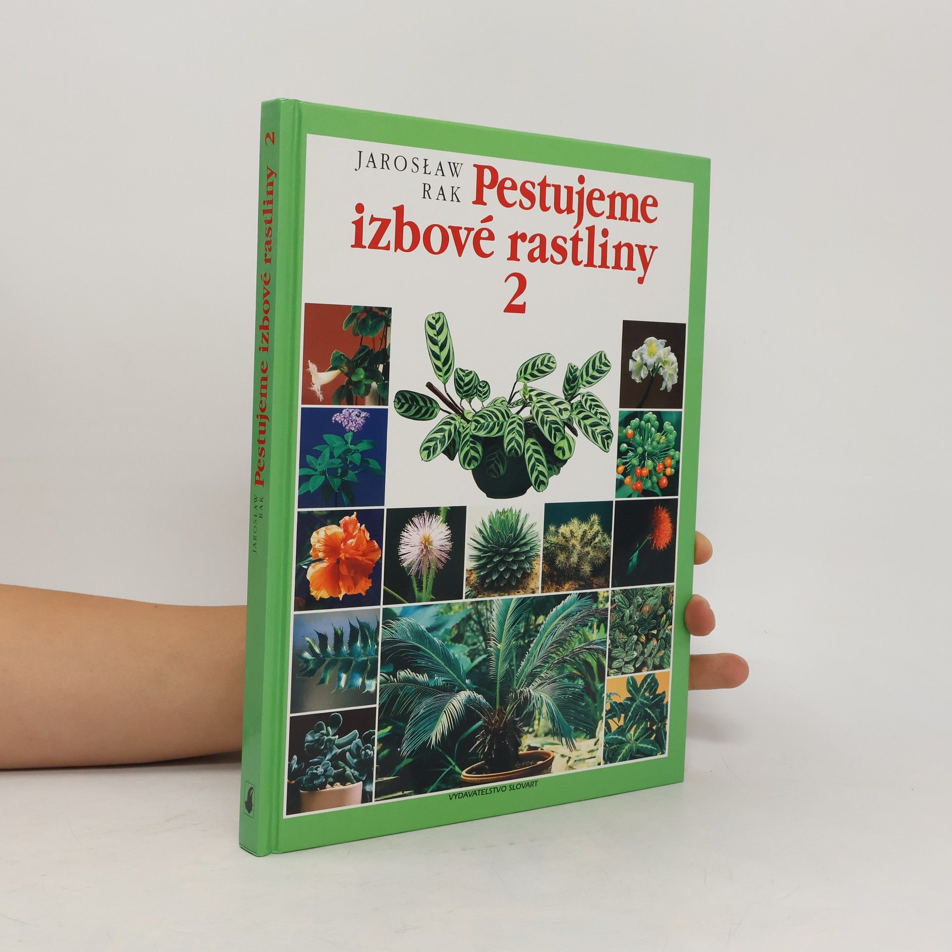 Jarosław Rak Pestujeme izbové rastliny 2