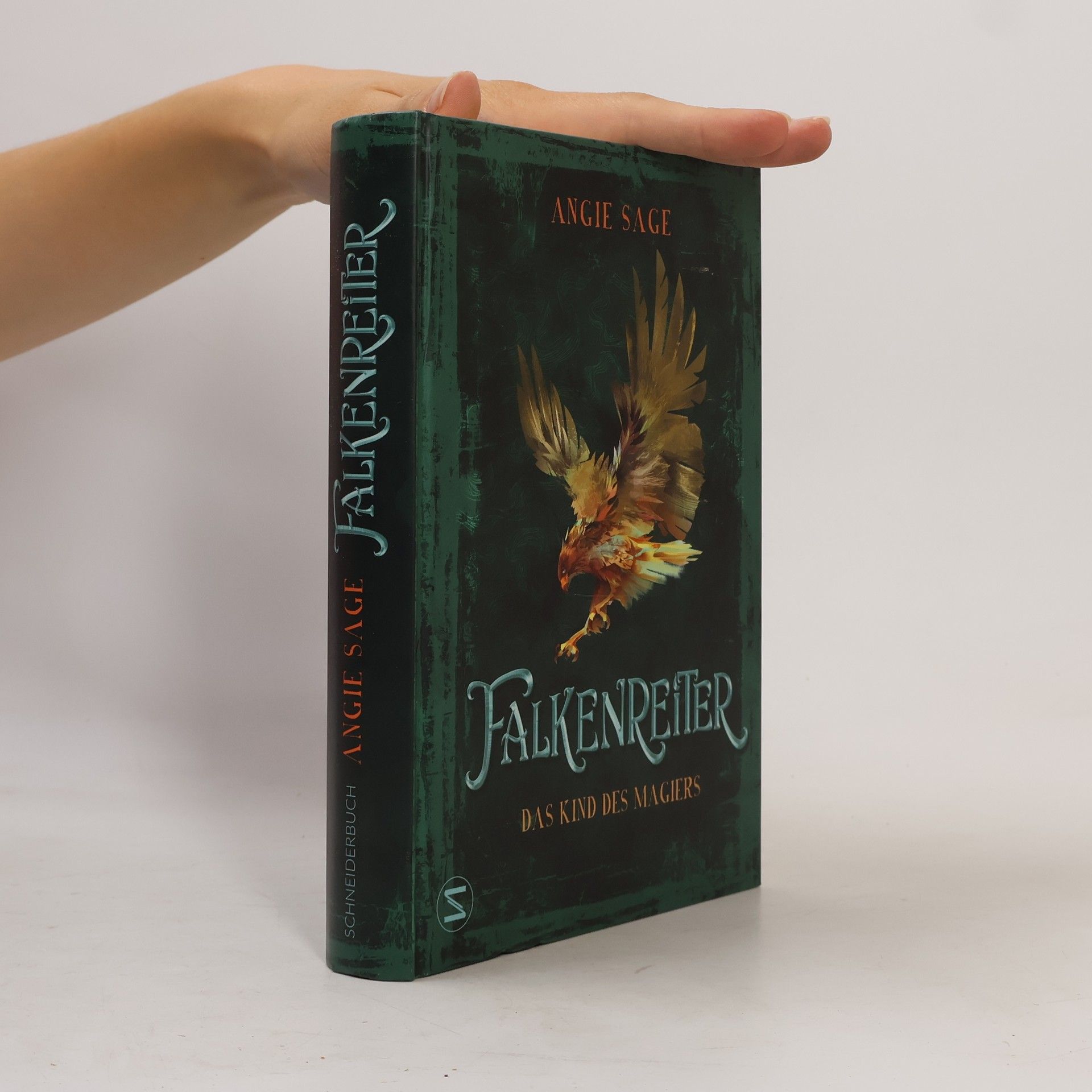 Angie Sage Falkenreiter. Das Kind des Magiers