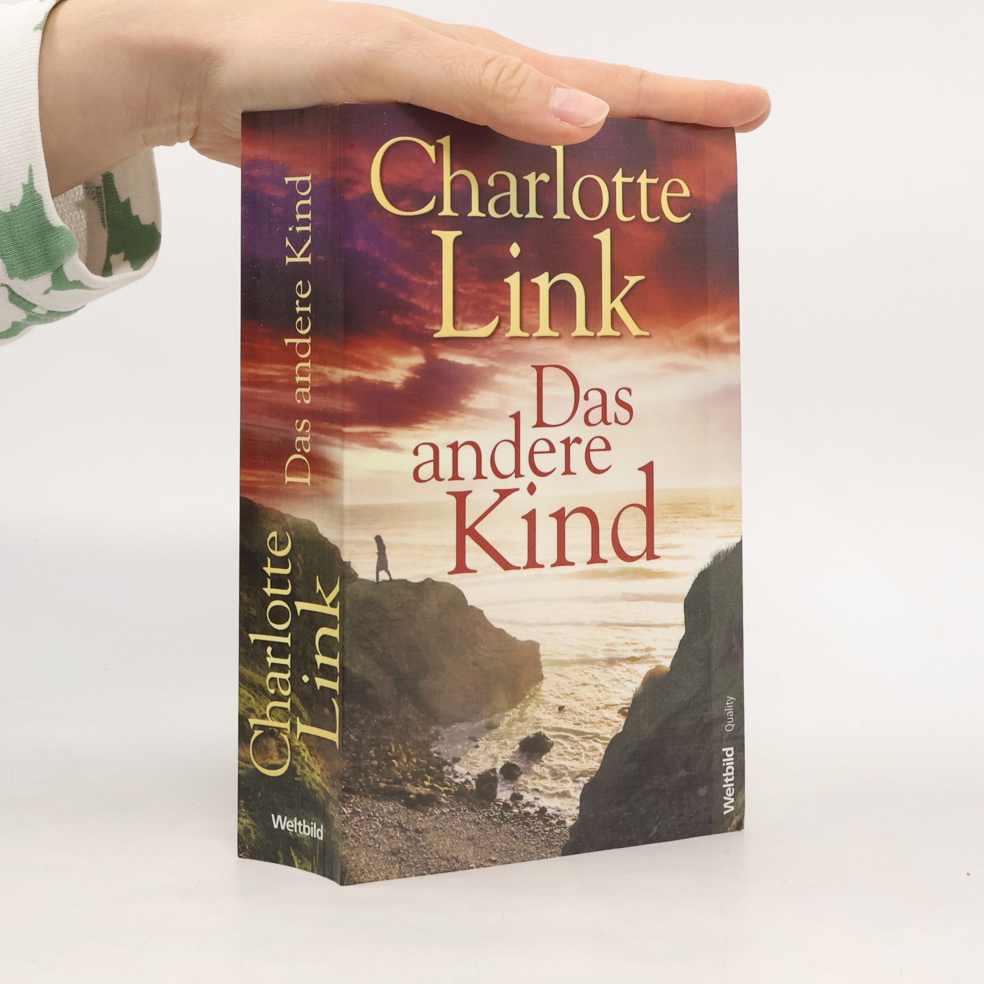 Charlotte Link Das andere Kind