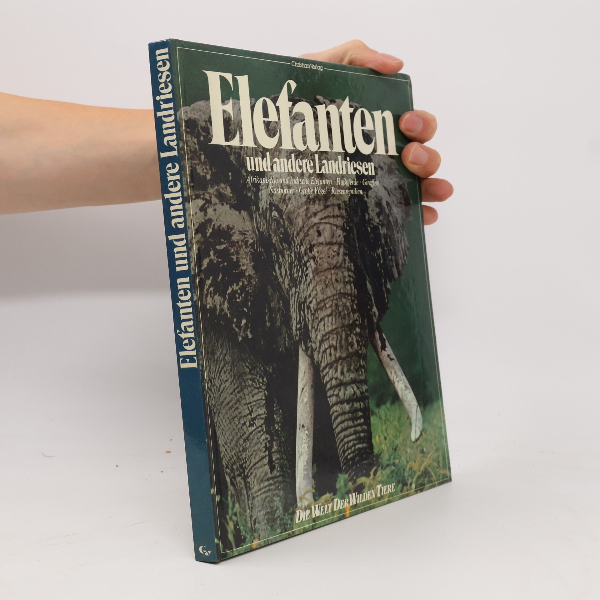 Kolektiv autorů Elefanten und andere Landriesen