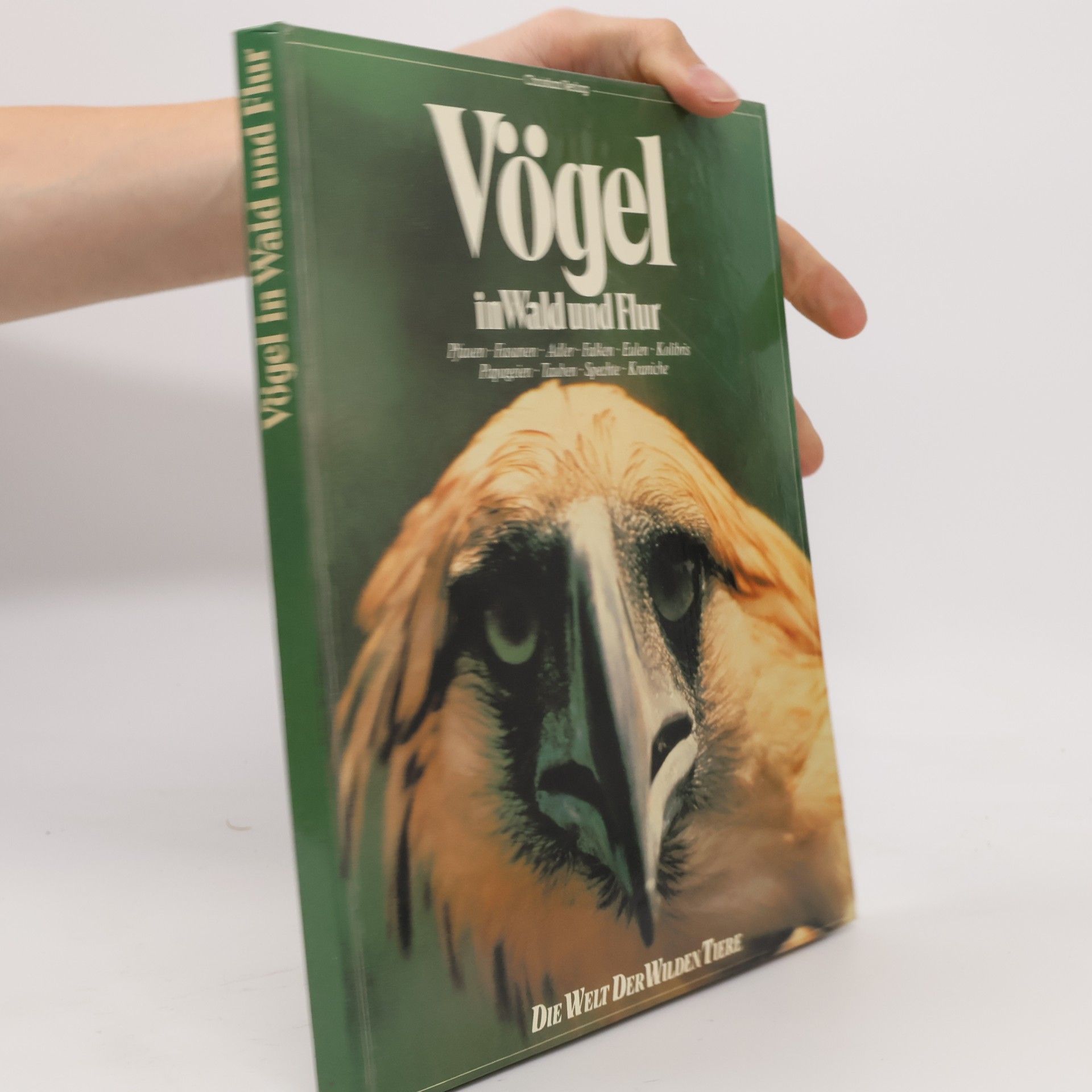 Kolektiv autorů Vögel in Wald und Flur