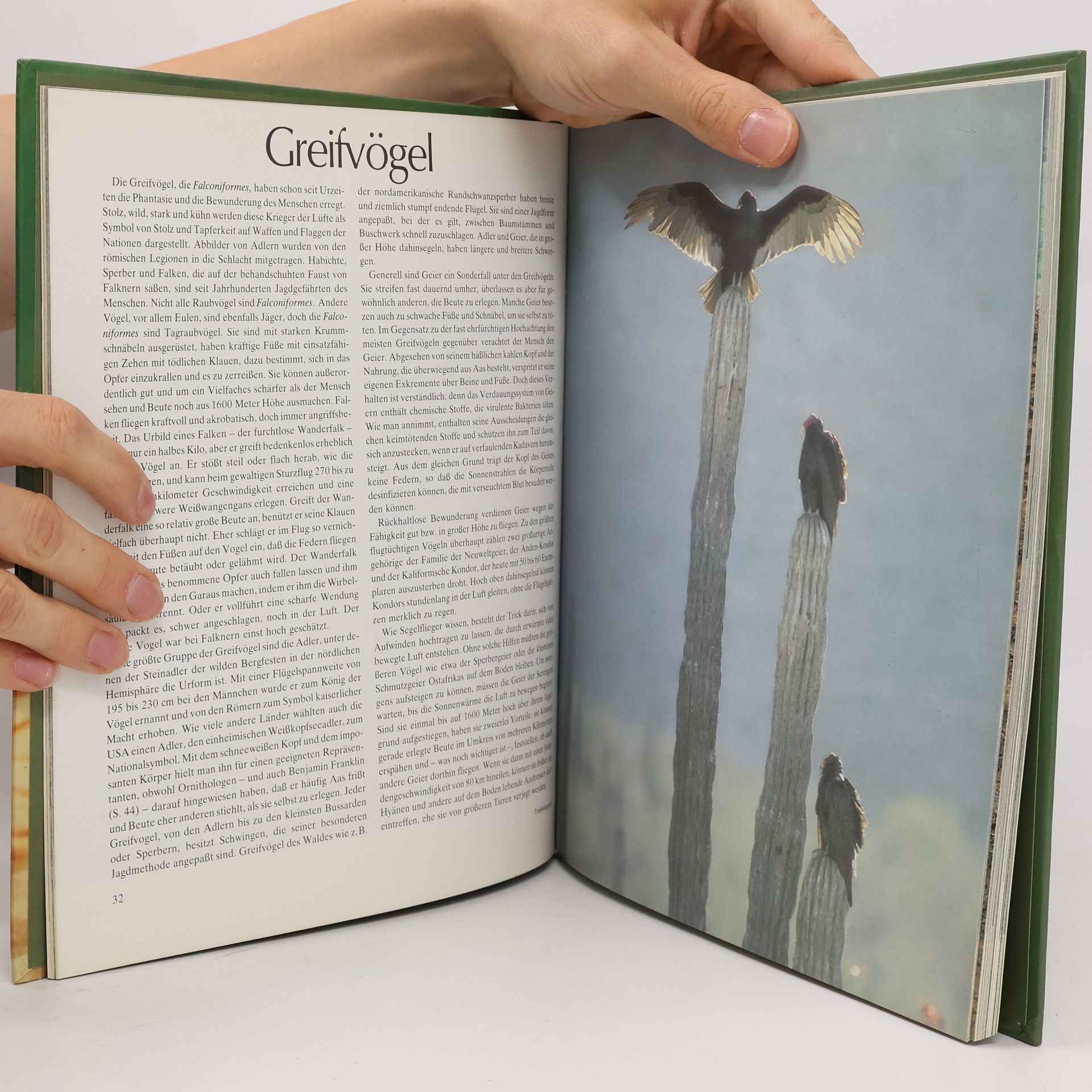 Autorenkollektiv Vögel in Wald und Flur
