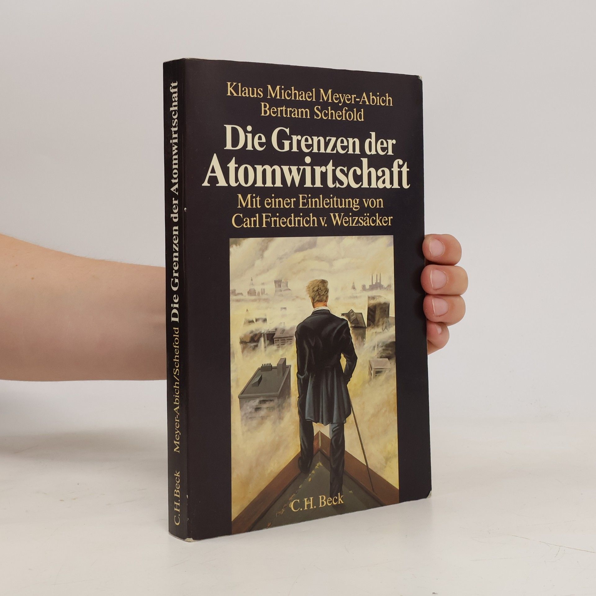 Klaus Michael Meyer-Abich Die Grenzen der Atomwirtschaft