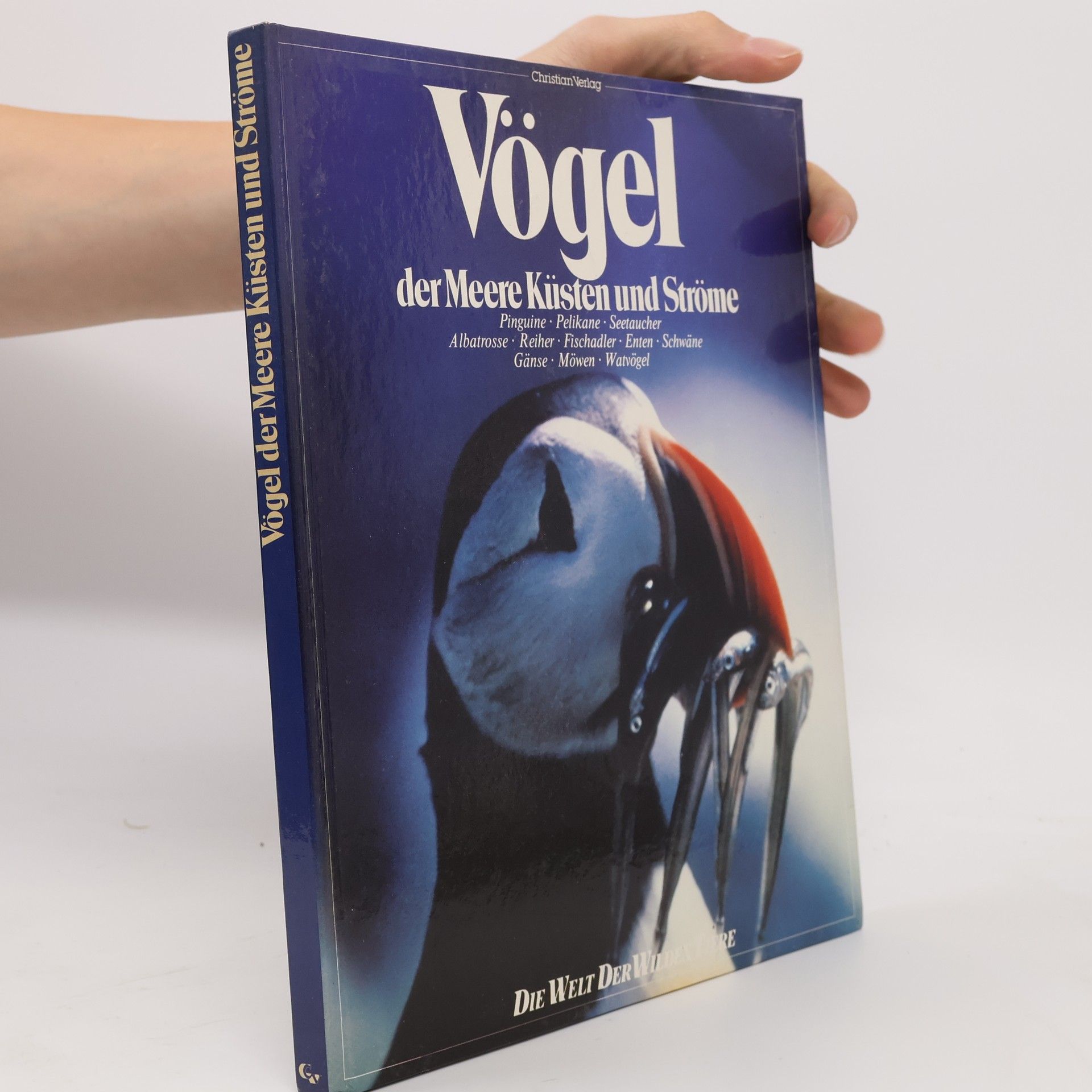 Wilbur Bradbury Vögel der Meere, Küsten und Ströme