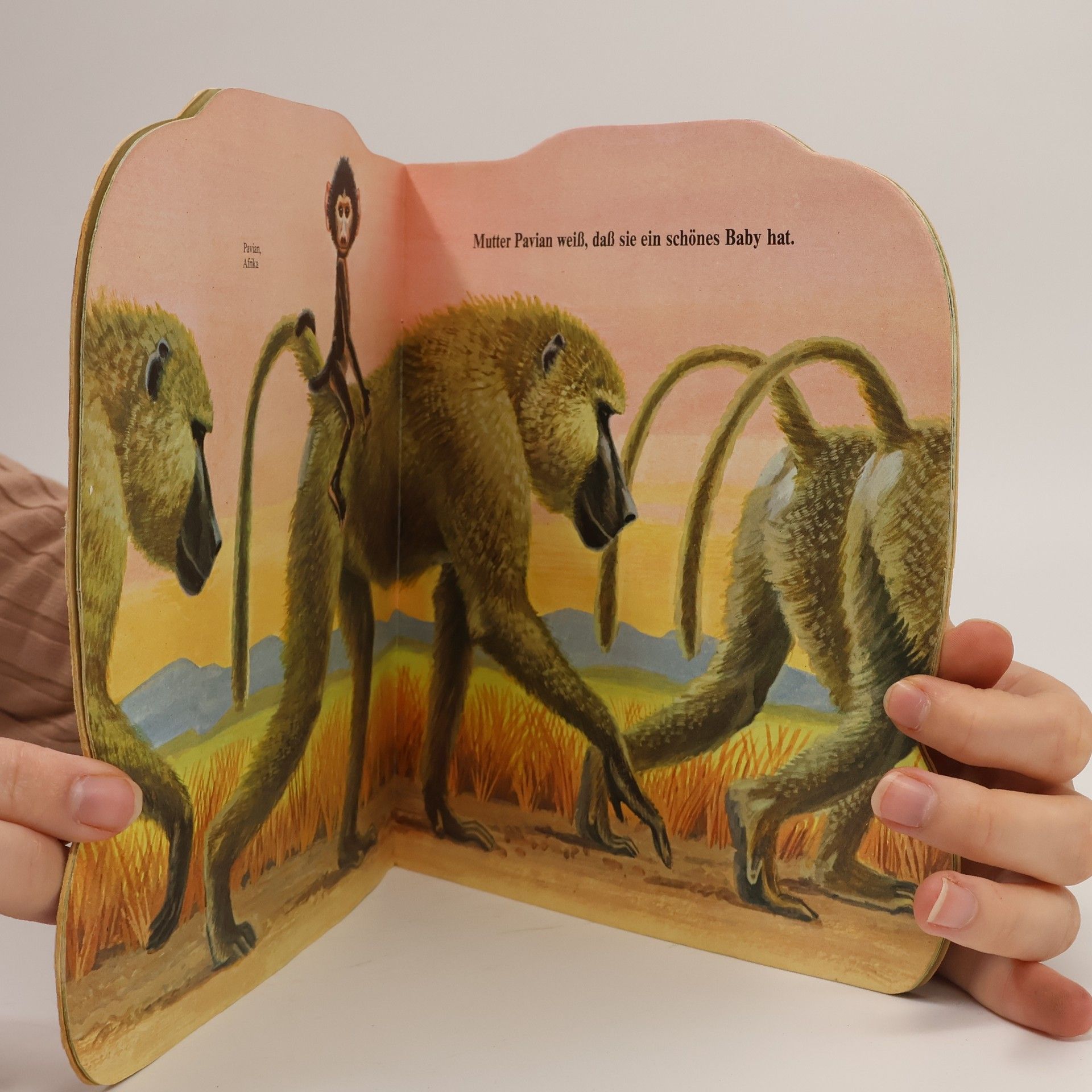 Jan Pfloog Das Affenbuch
