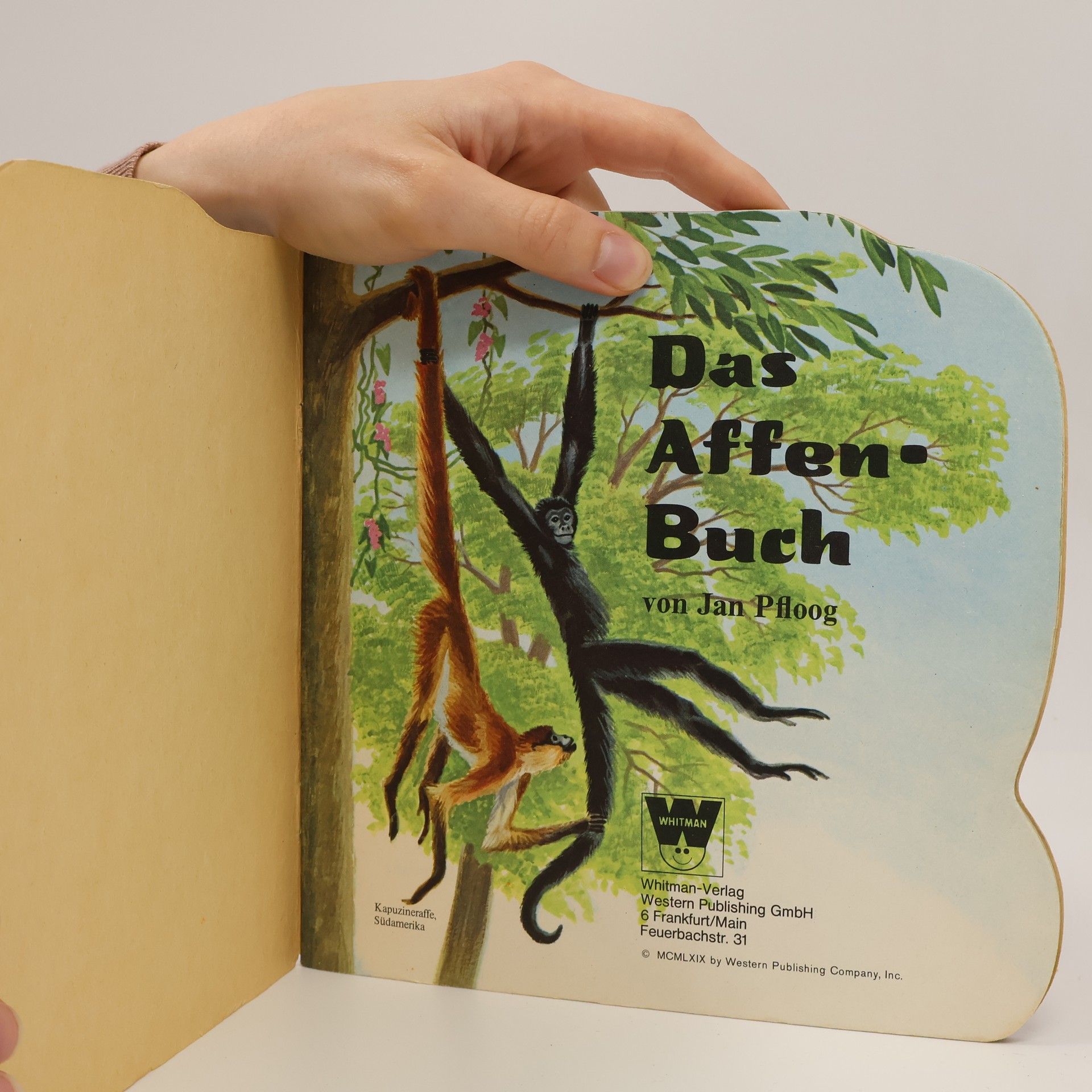 Jan Pfloog Das Affenbuch