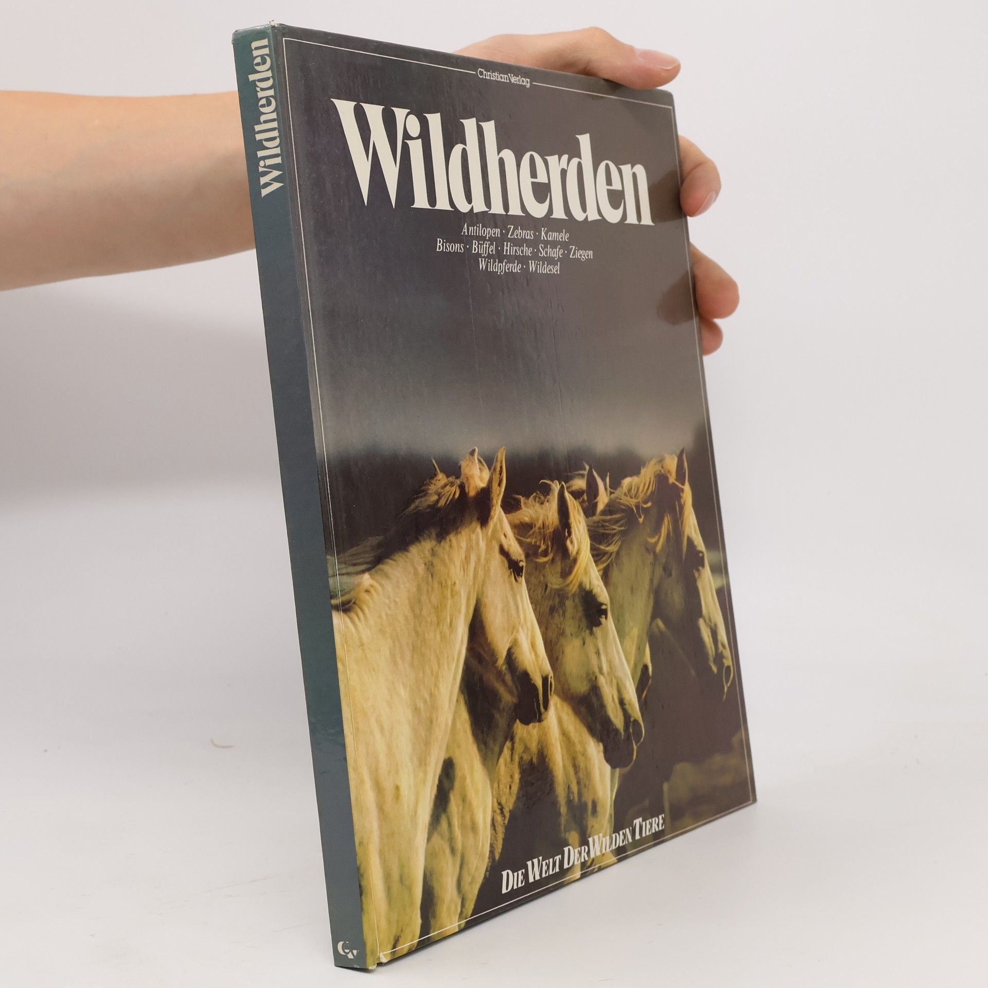 Kolektiv autorů Wildherden