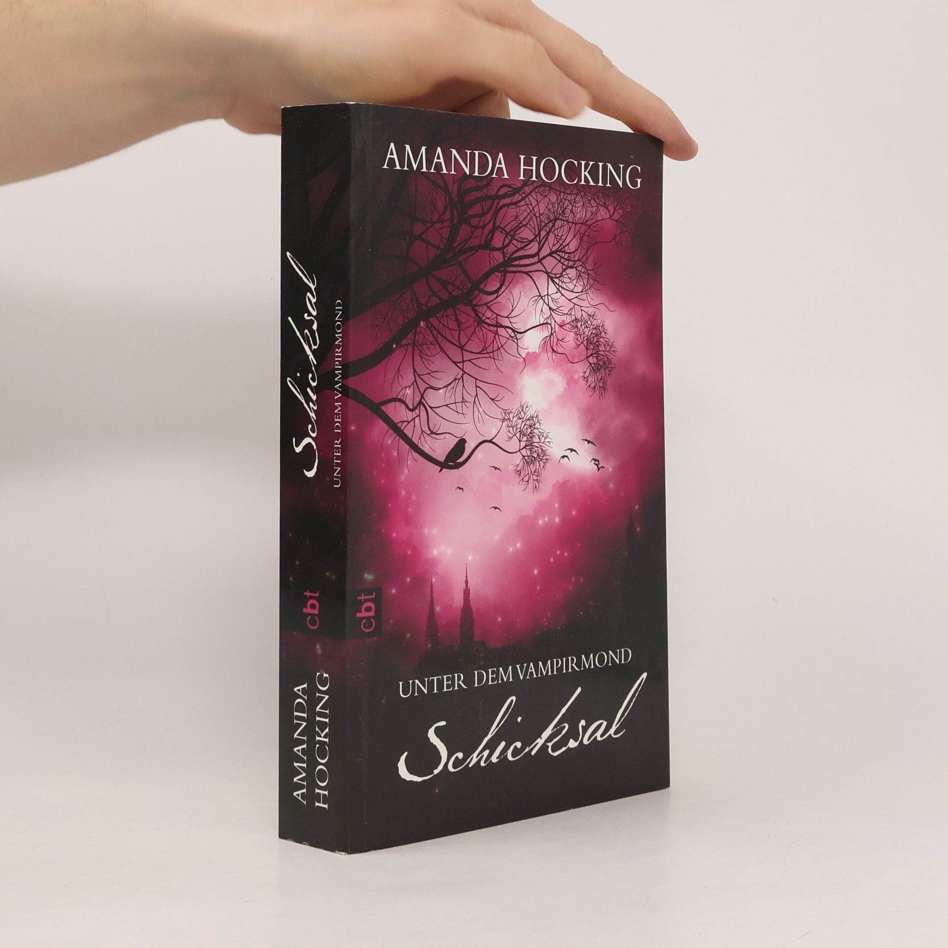 Amanda Hocking Unter dem Vampirmond - Schicksal