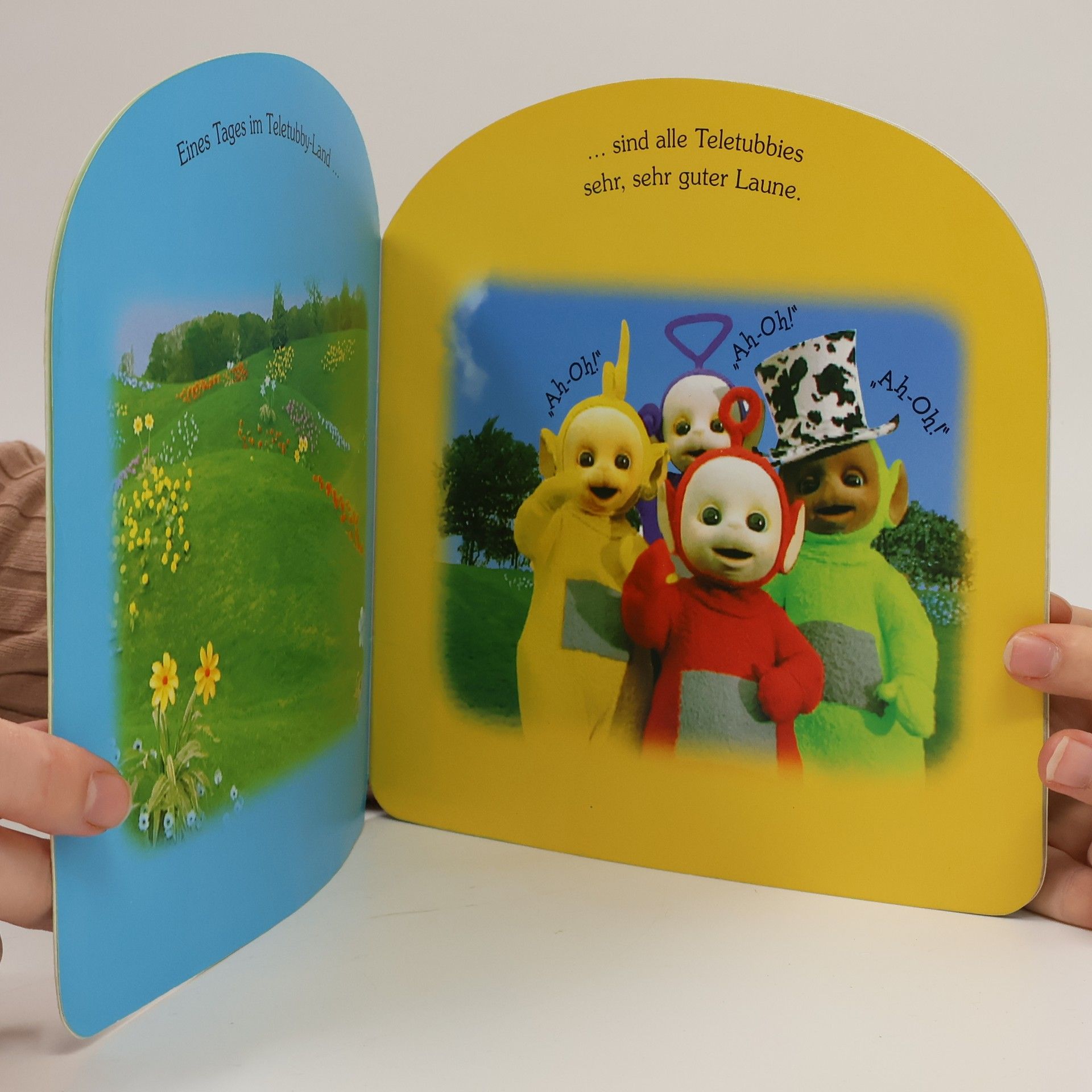 Autorenkollektiv Teletubbies: 1, 2, 3, 4 - alle sind hier!