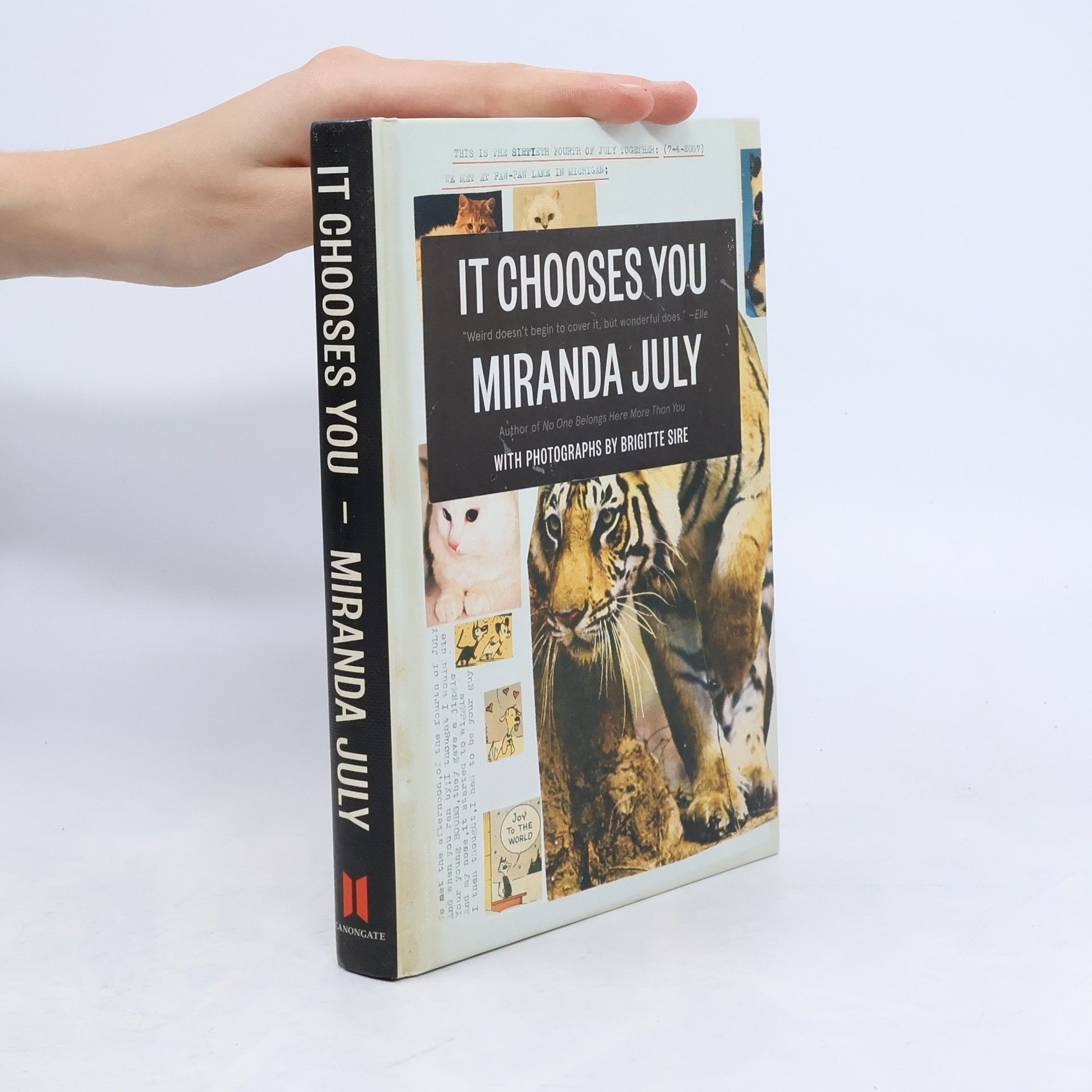 Miranda July It Chooses You