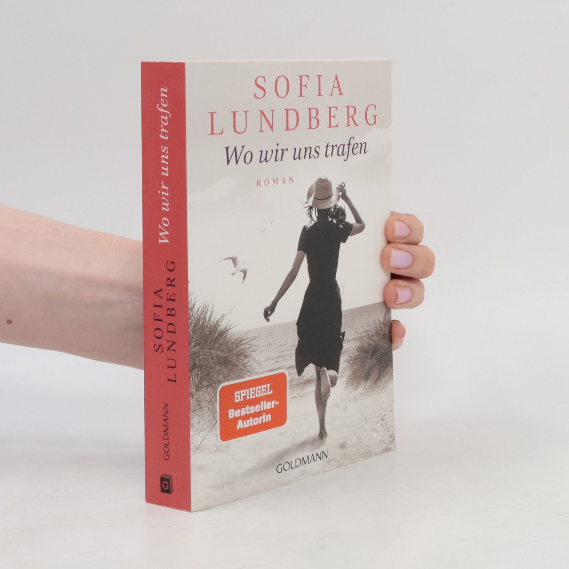 Sofia Lundberg Wo wir uns trafen