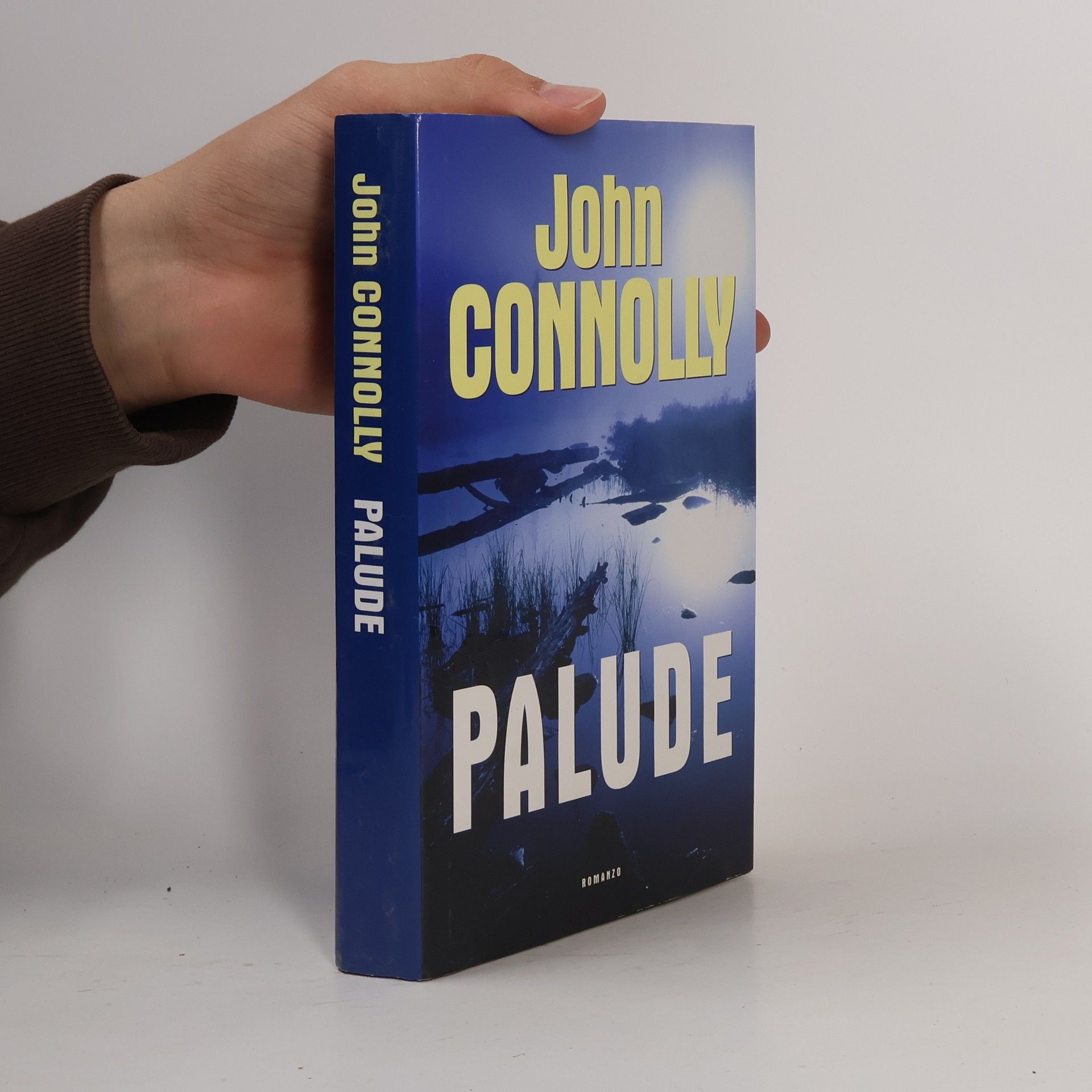 John Connolly Palude