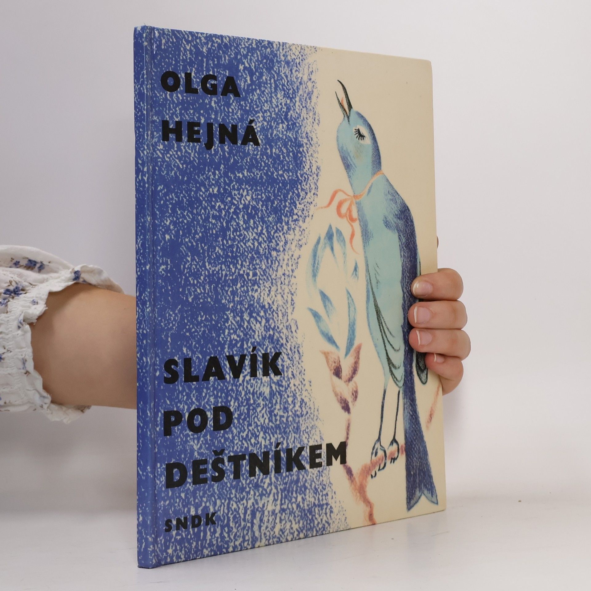 Miloslav Hejný Slavík pod deštníkem