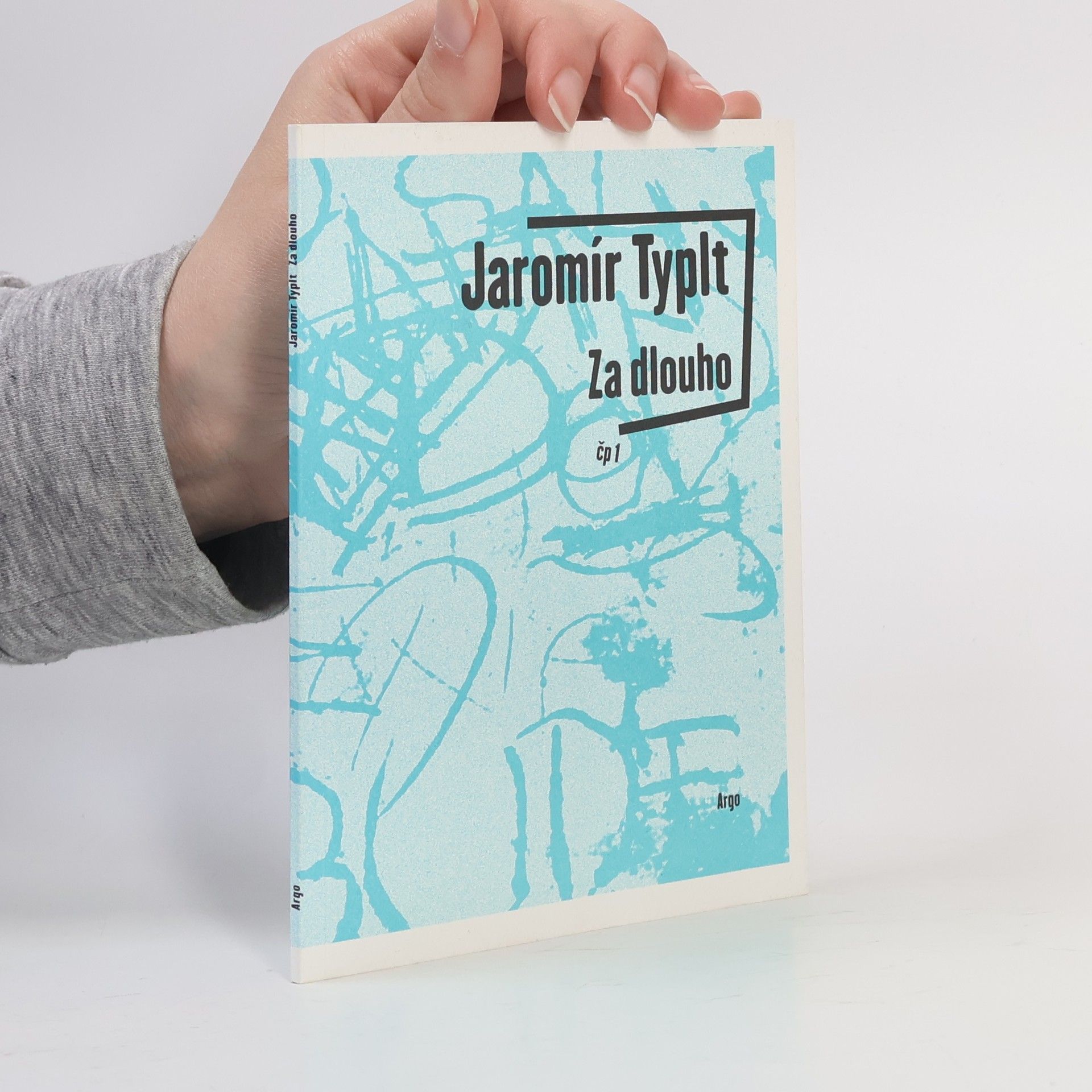Jaromír Typlt Za dlouho
