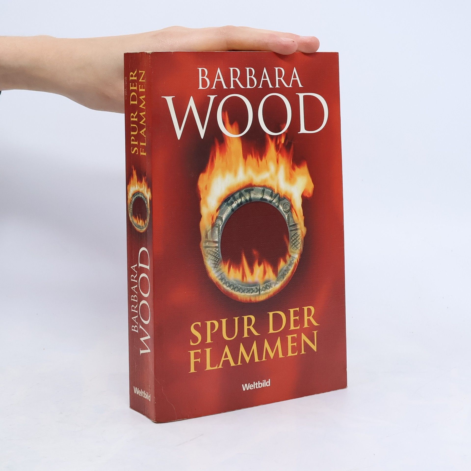 Barbara Wood Spur der Flammen