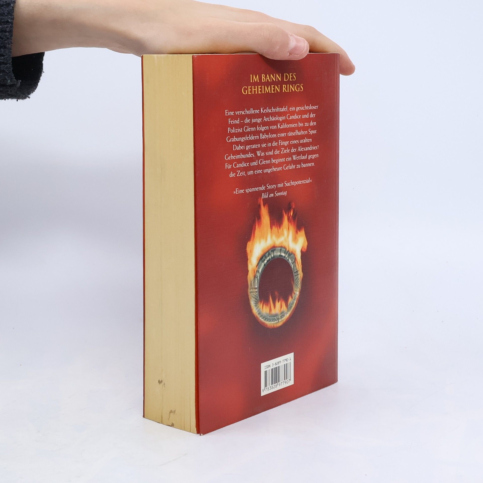 Barbara Wood Spur der Flammen