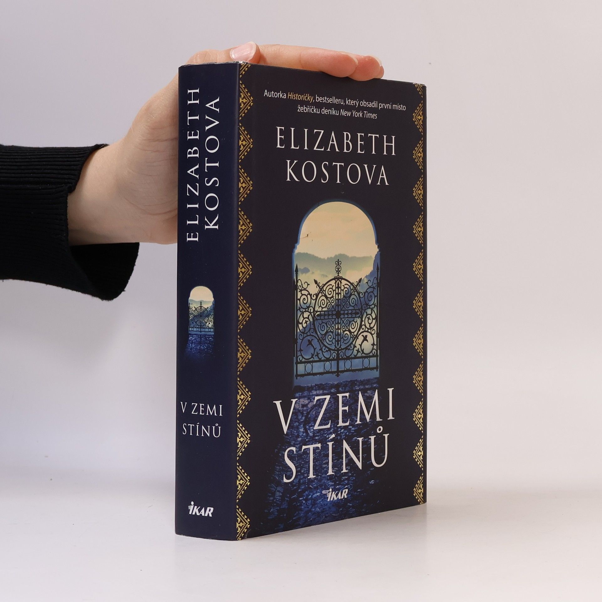 Elizabeth Kostova V zemi stínů