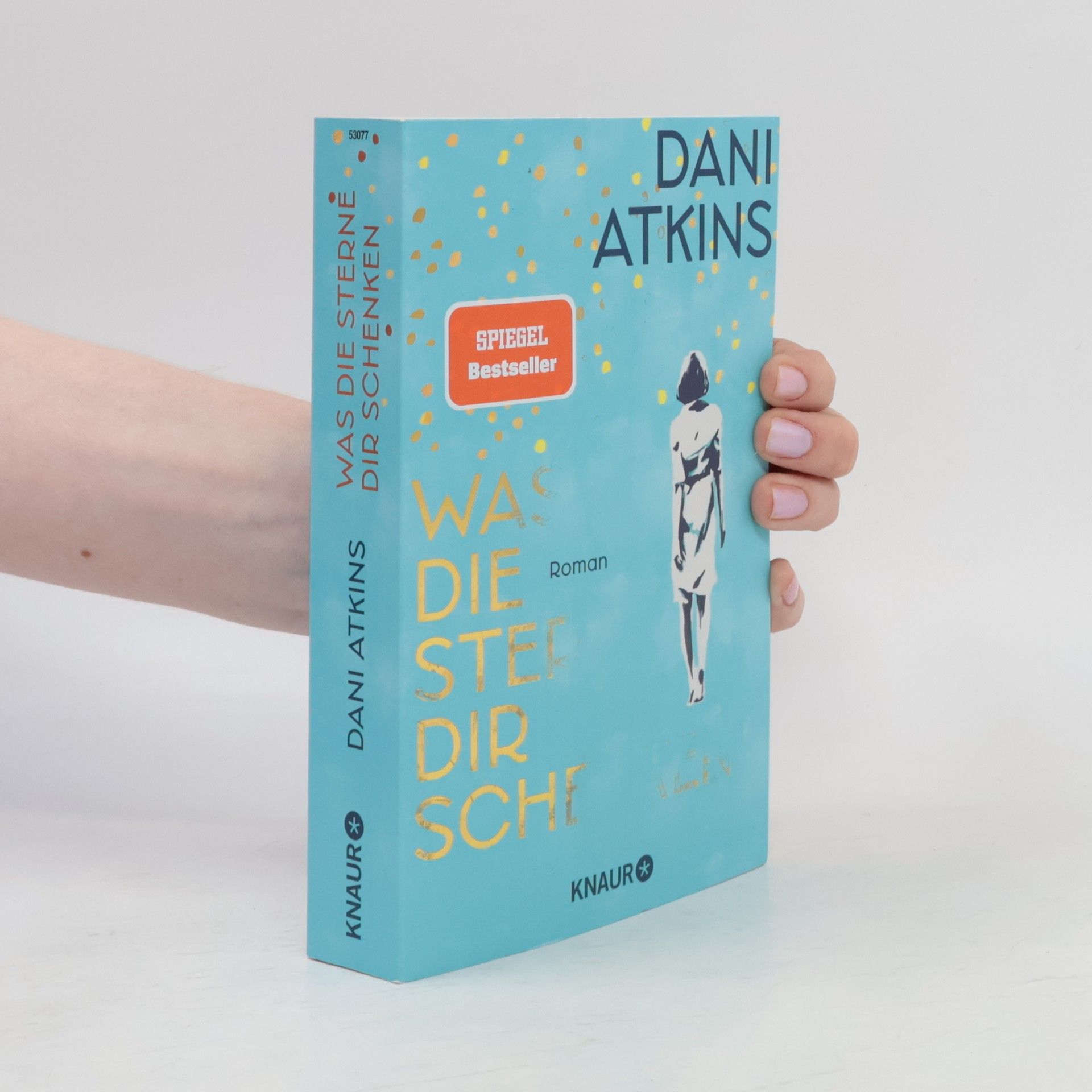 Dani Atkins Was die Sterne dir schenken