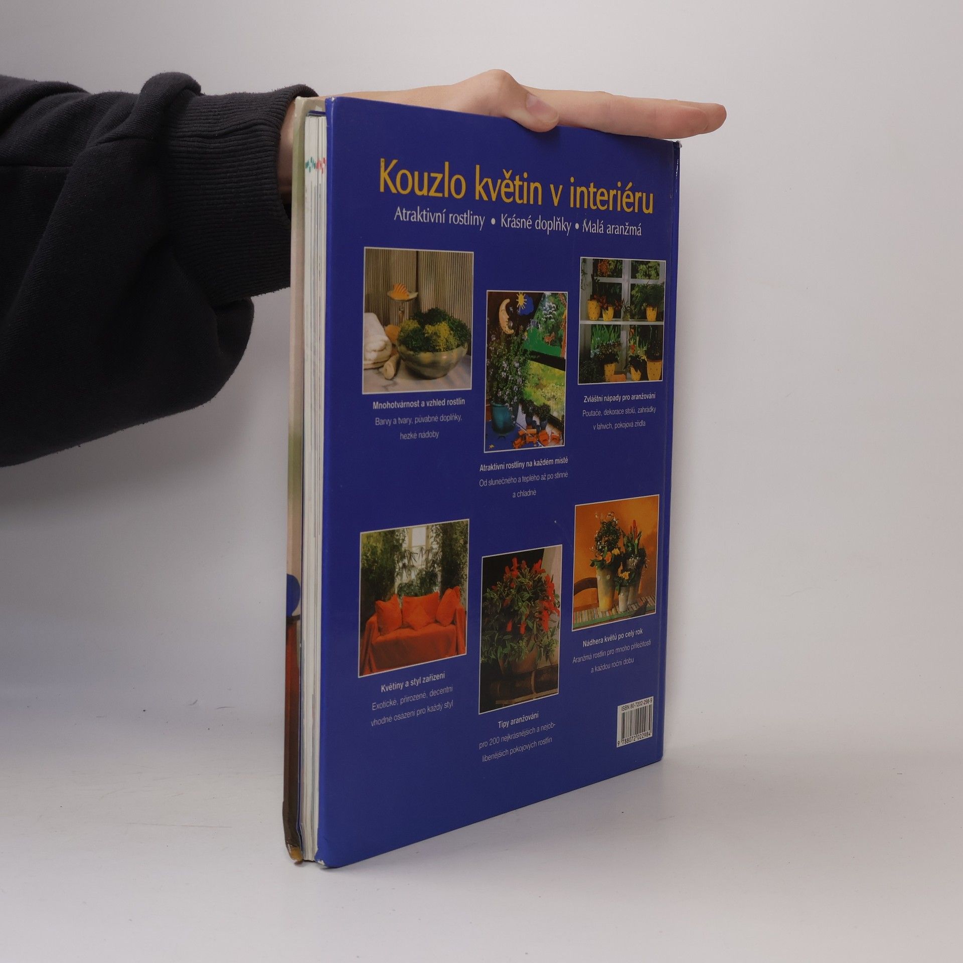 Dorothée Waechter Kouzlo květin v interiéru