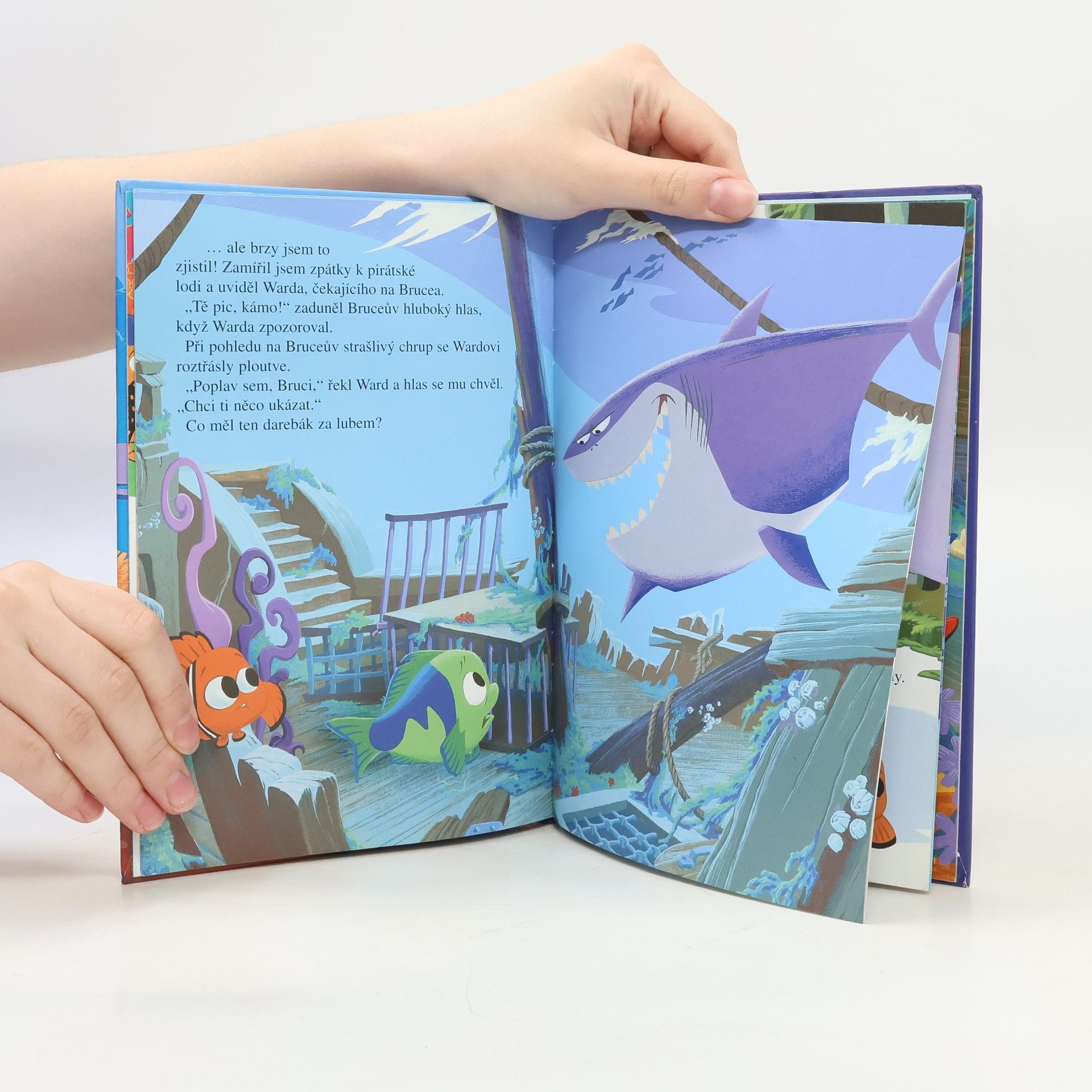 Walt Disney Hledá se Nemo-Školní výlet