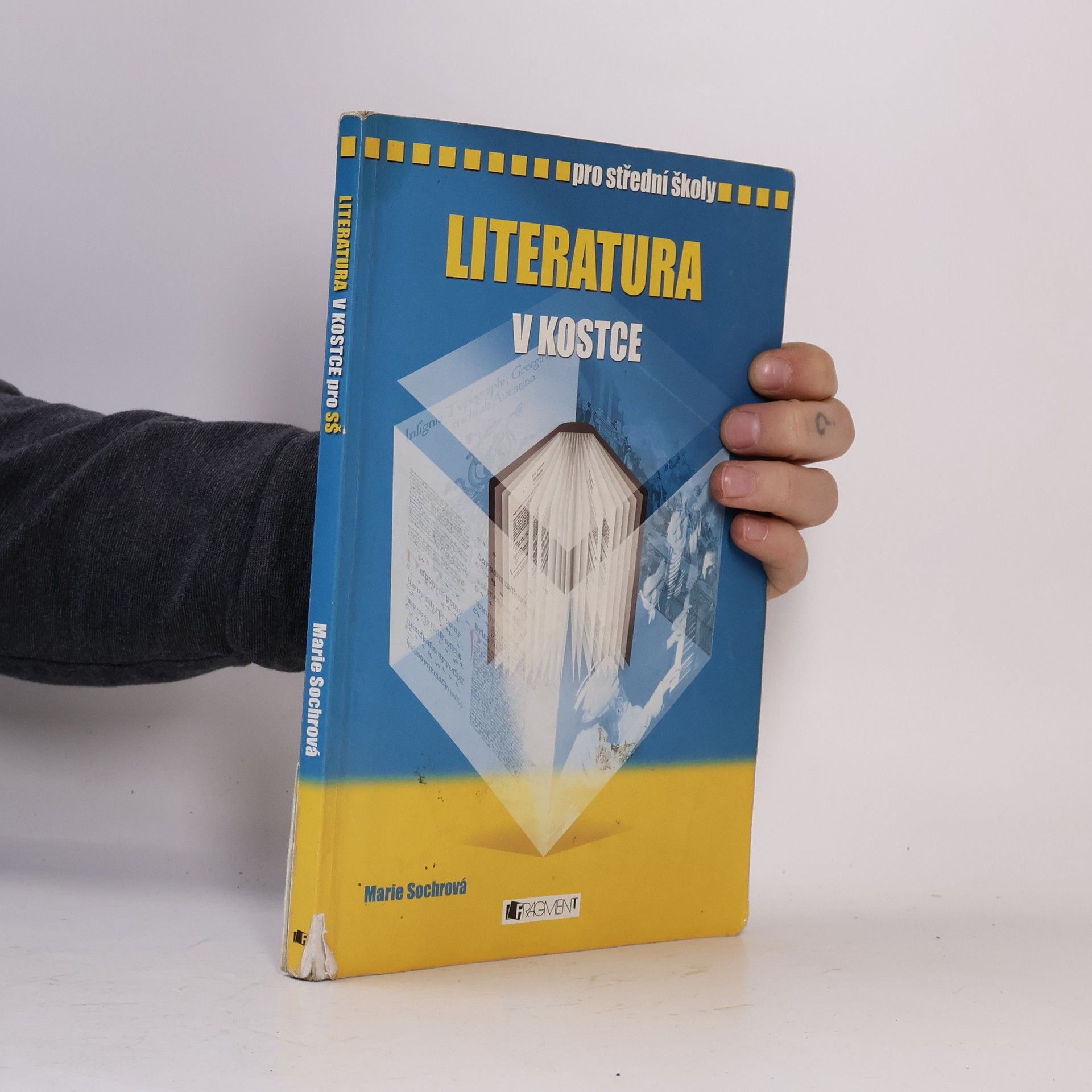 Marie Sochrová Literatura v kostce : pro střední školy
