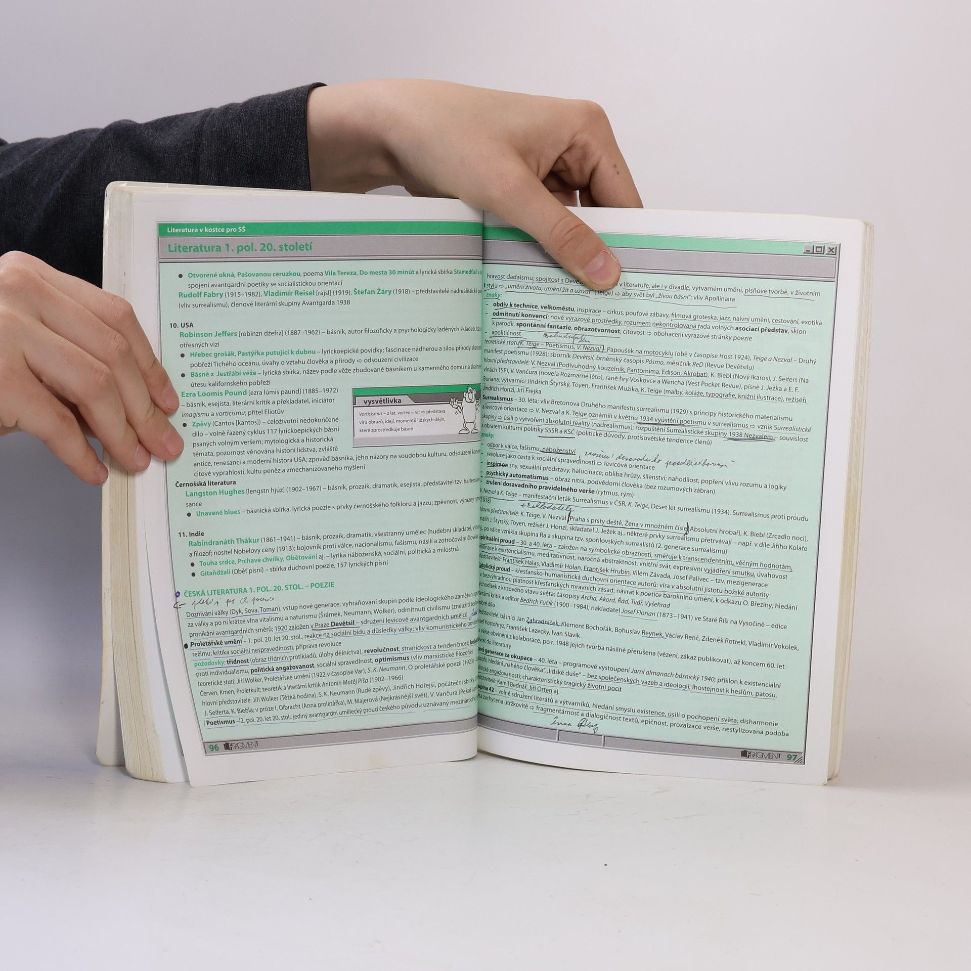 Marie Sochrová Literatura v kostce : pro střední školy