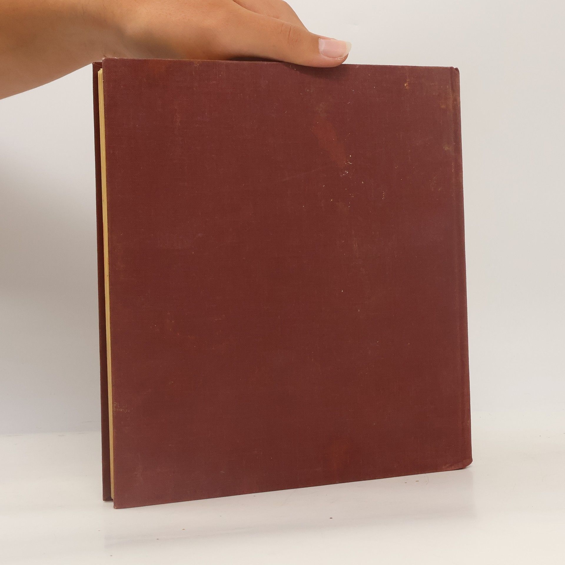 AA.VV. Das Buch vom Starmix