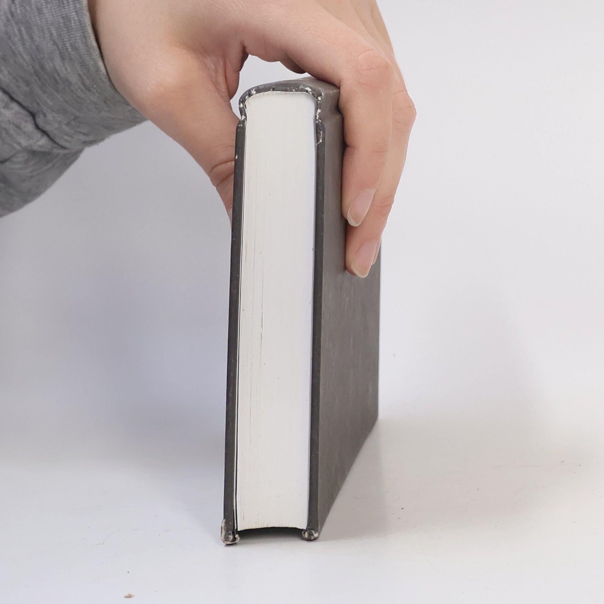 Cormac McCarthy Krvavý poledník aneb Večerní červánky na západě