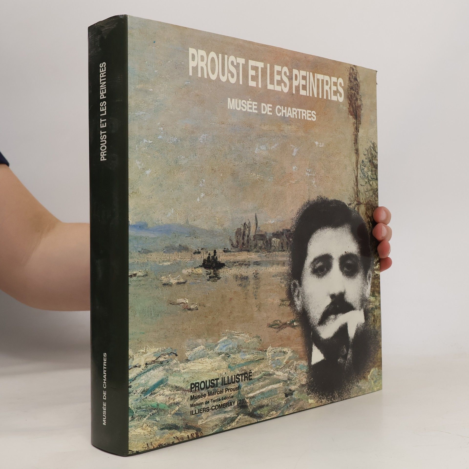 Kolektiv autorů Proust et les peintres