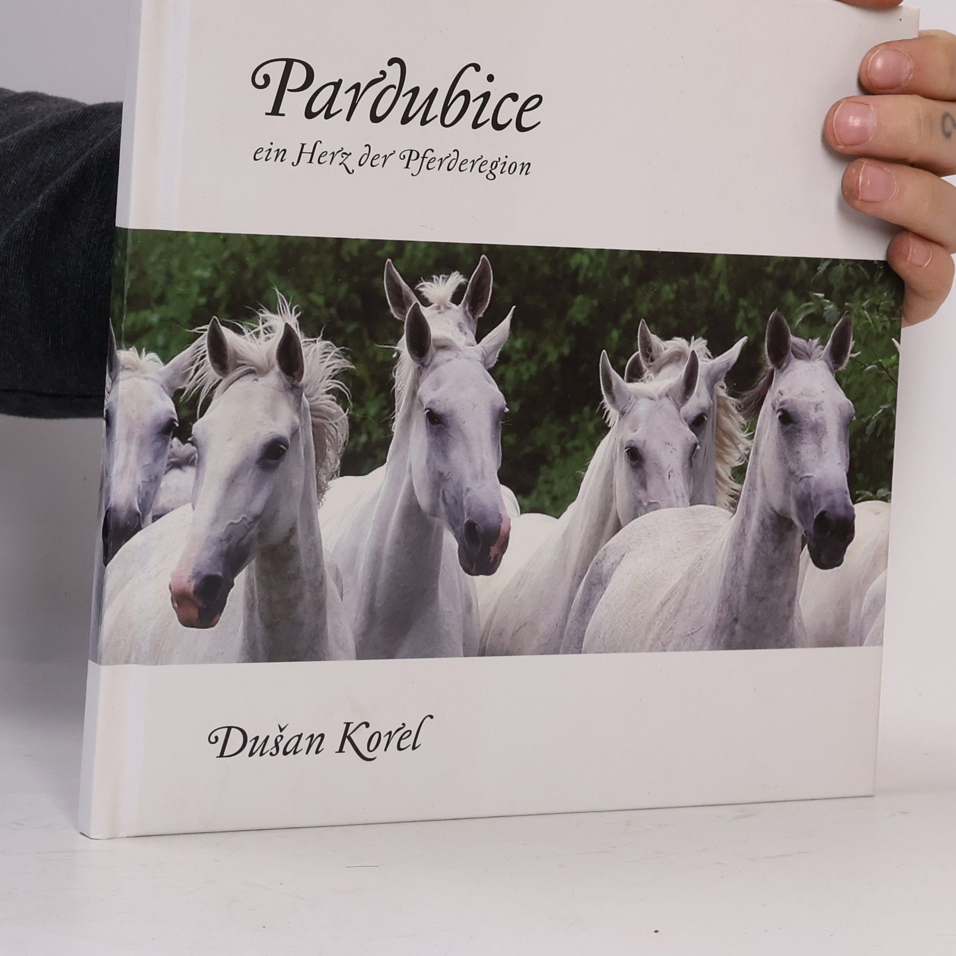 Dušan Korel Pardubice. Srdce regionu koní