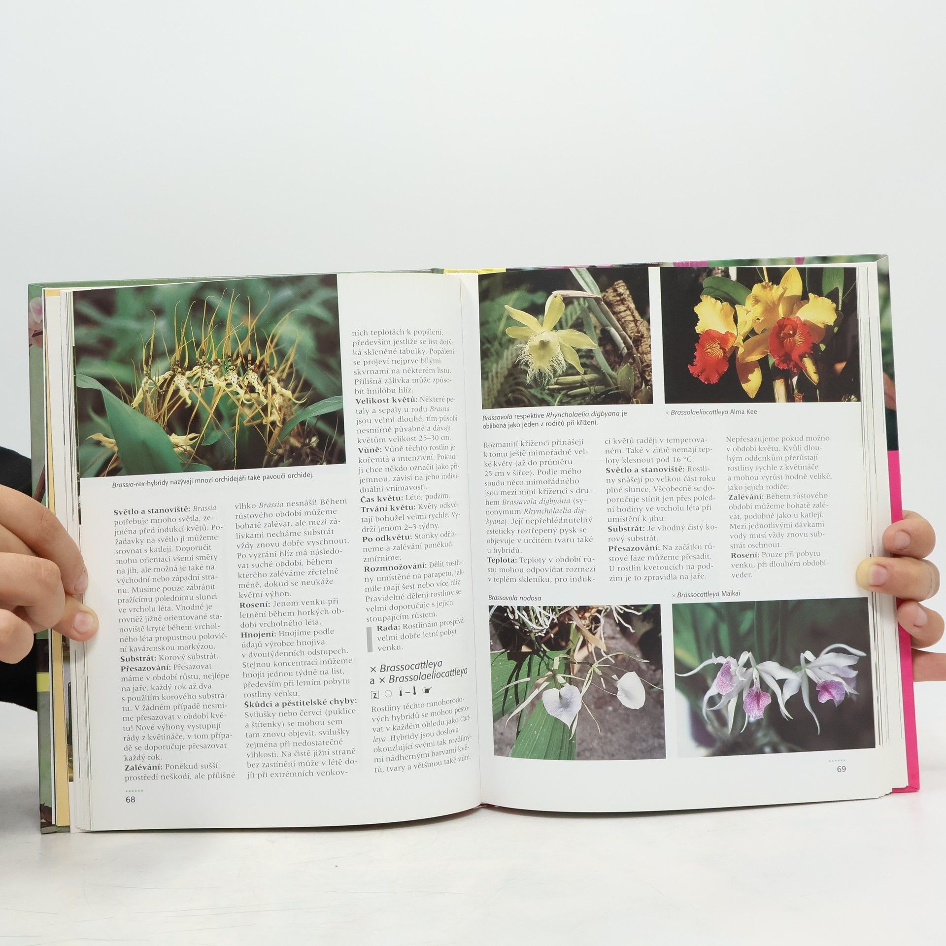 Brigitte Goede Orchideje. Praktický rádce pro zdraví rostlin a krásu květů