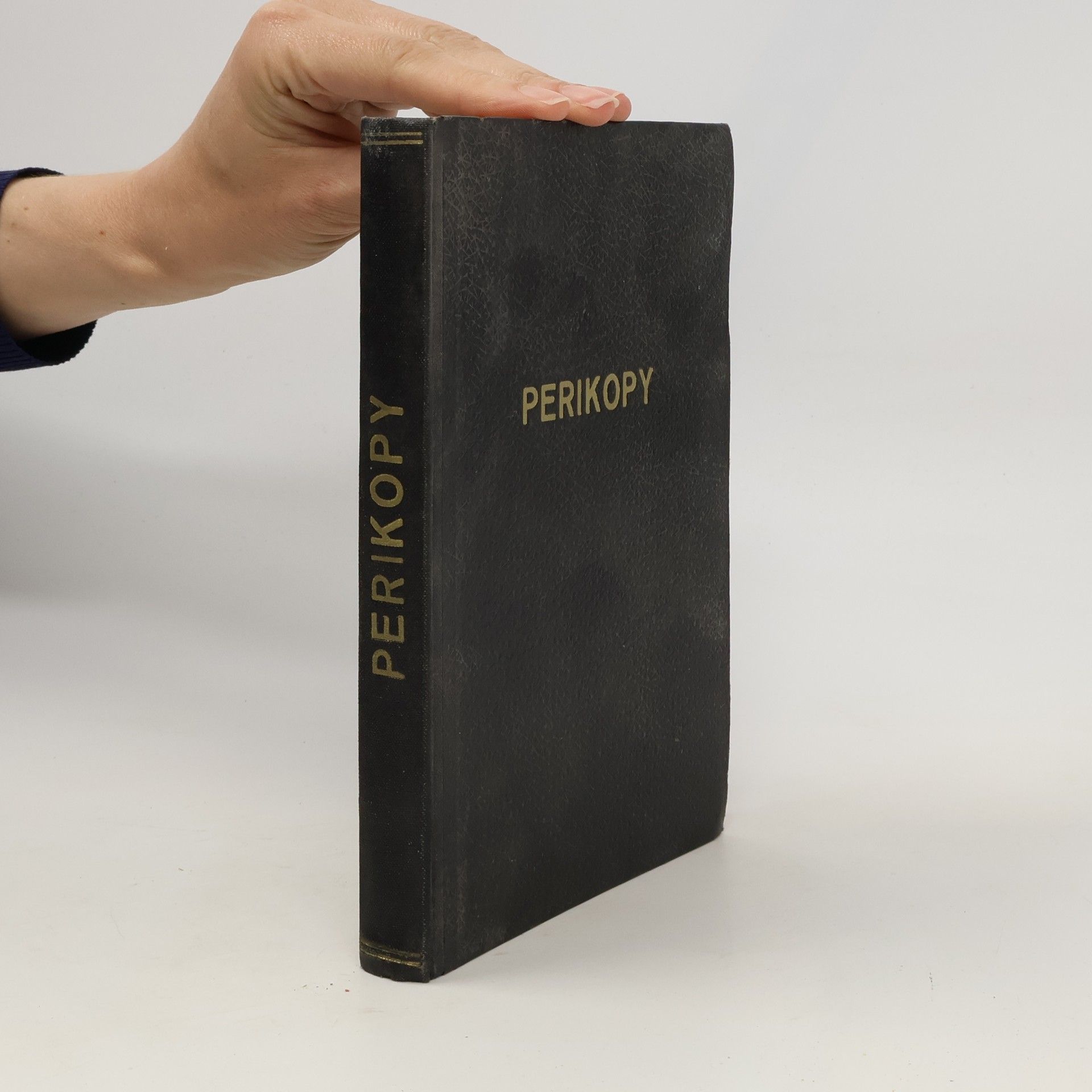 Autores varios Perikopy čili čtení a evangelia