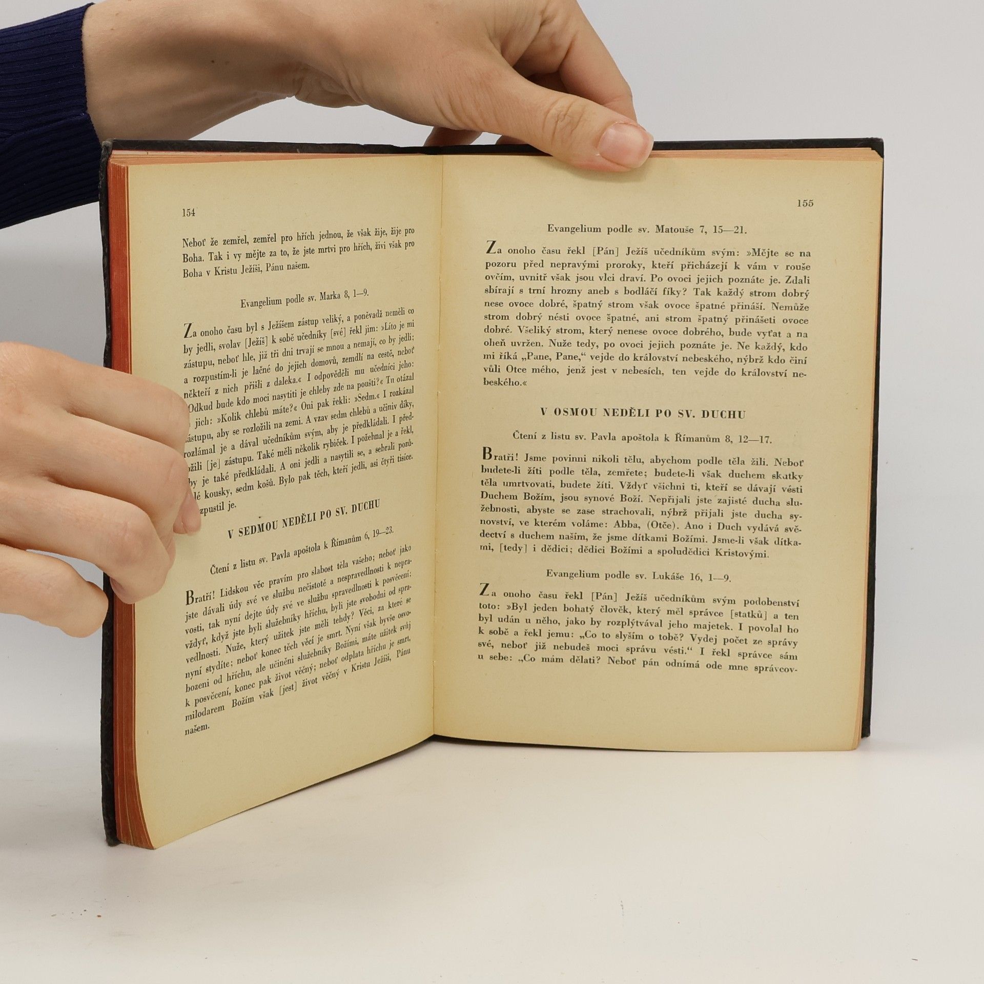 Autores varios Perikopy čili čtení a evangelia