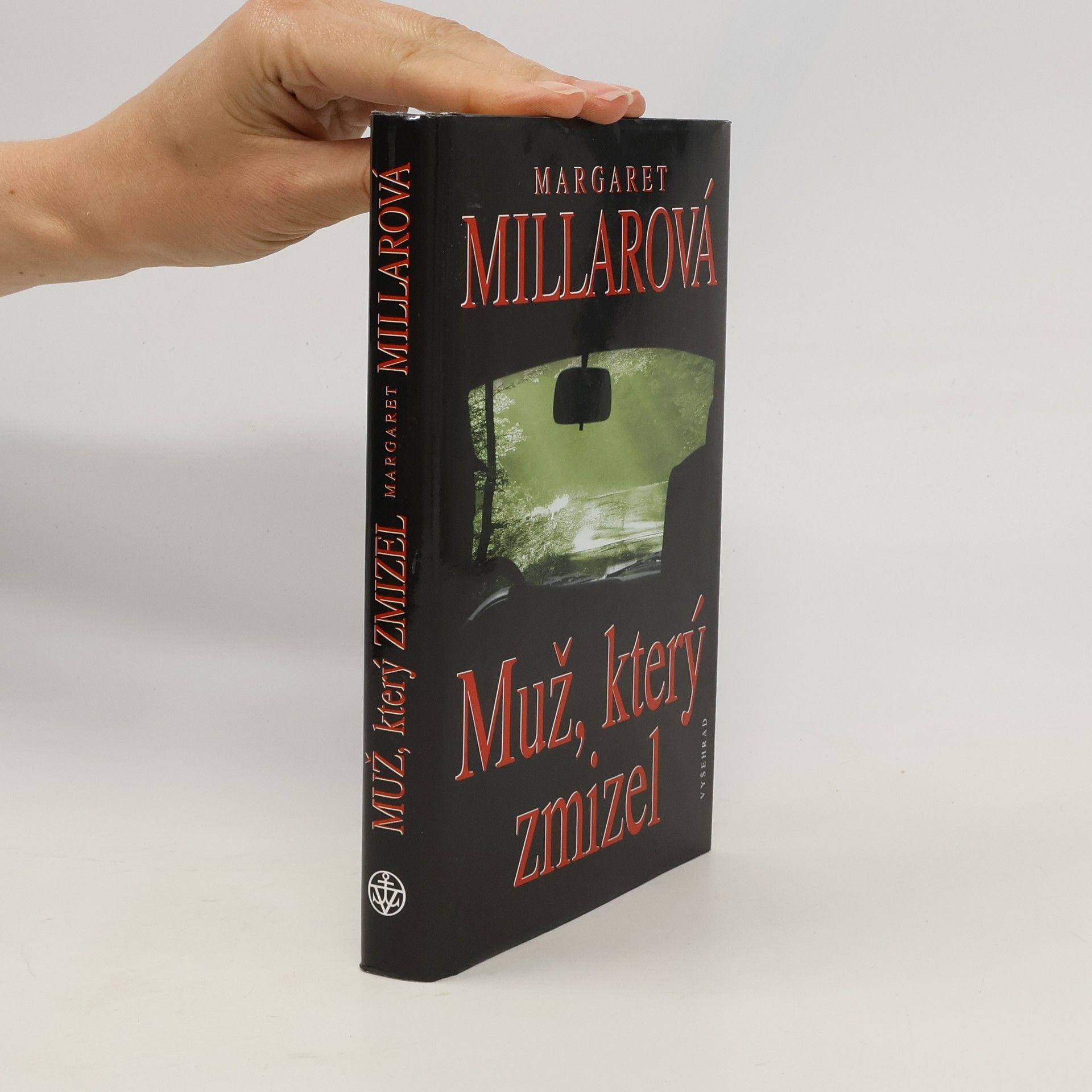 Margaret Ellis Millar Muž, který zmizel