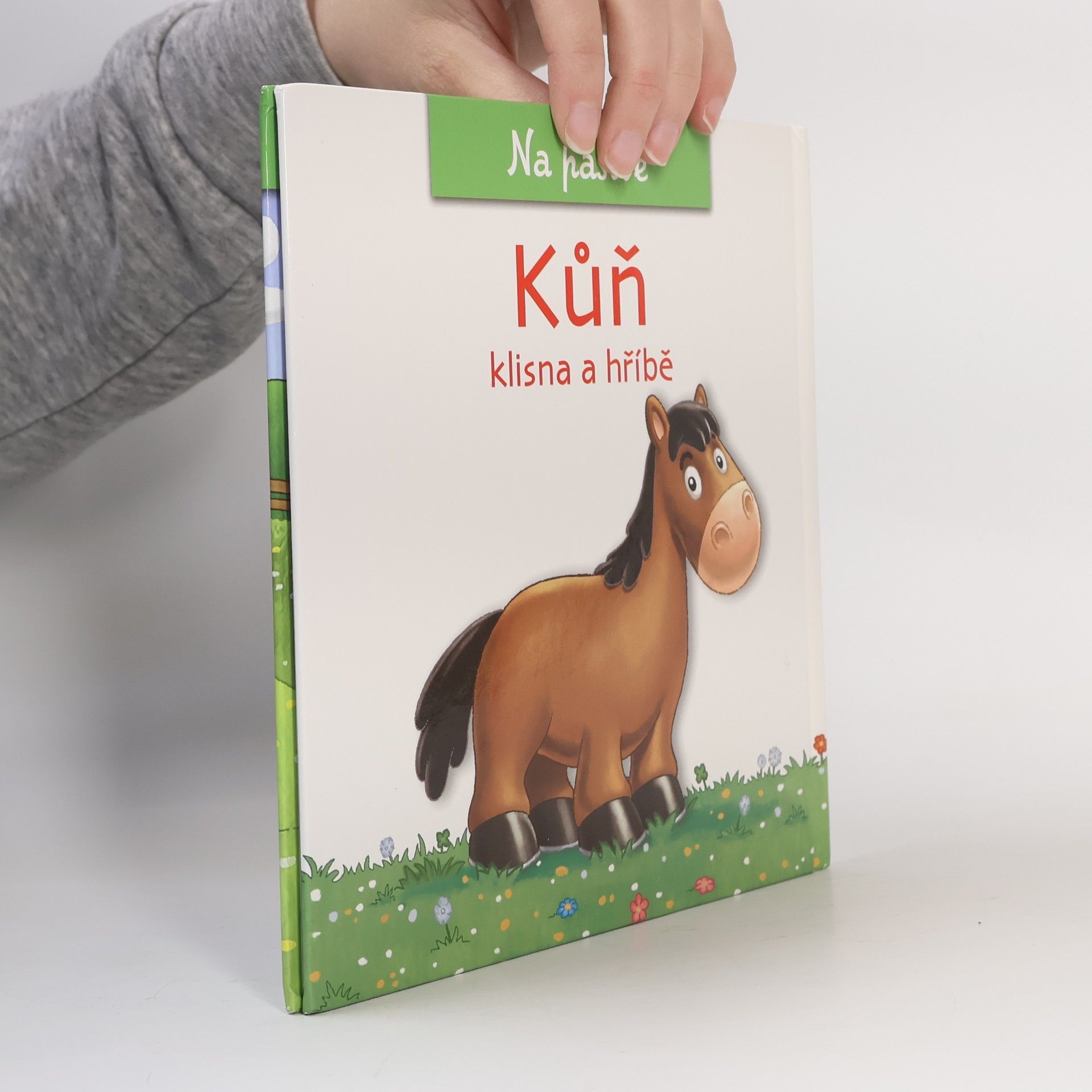 Christine Serbource Kůň, klisna a hříbě