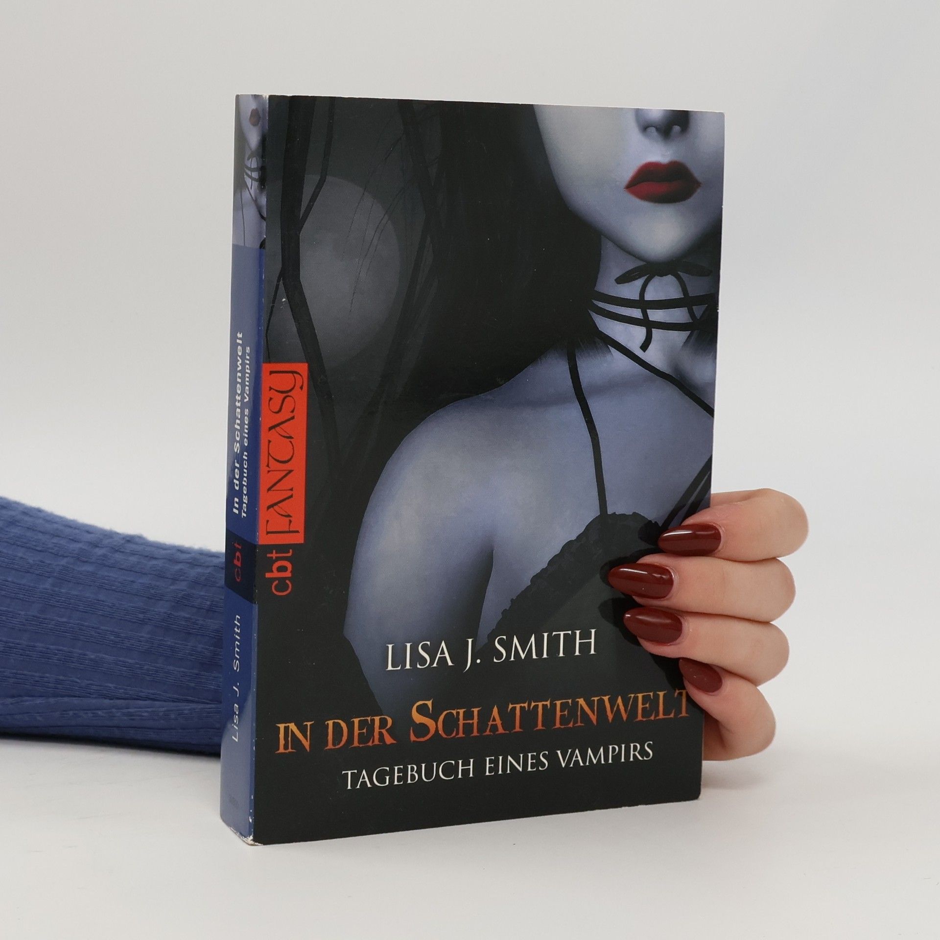 Lisa J. Smith Tagebuch eines Vampirs 4