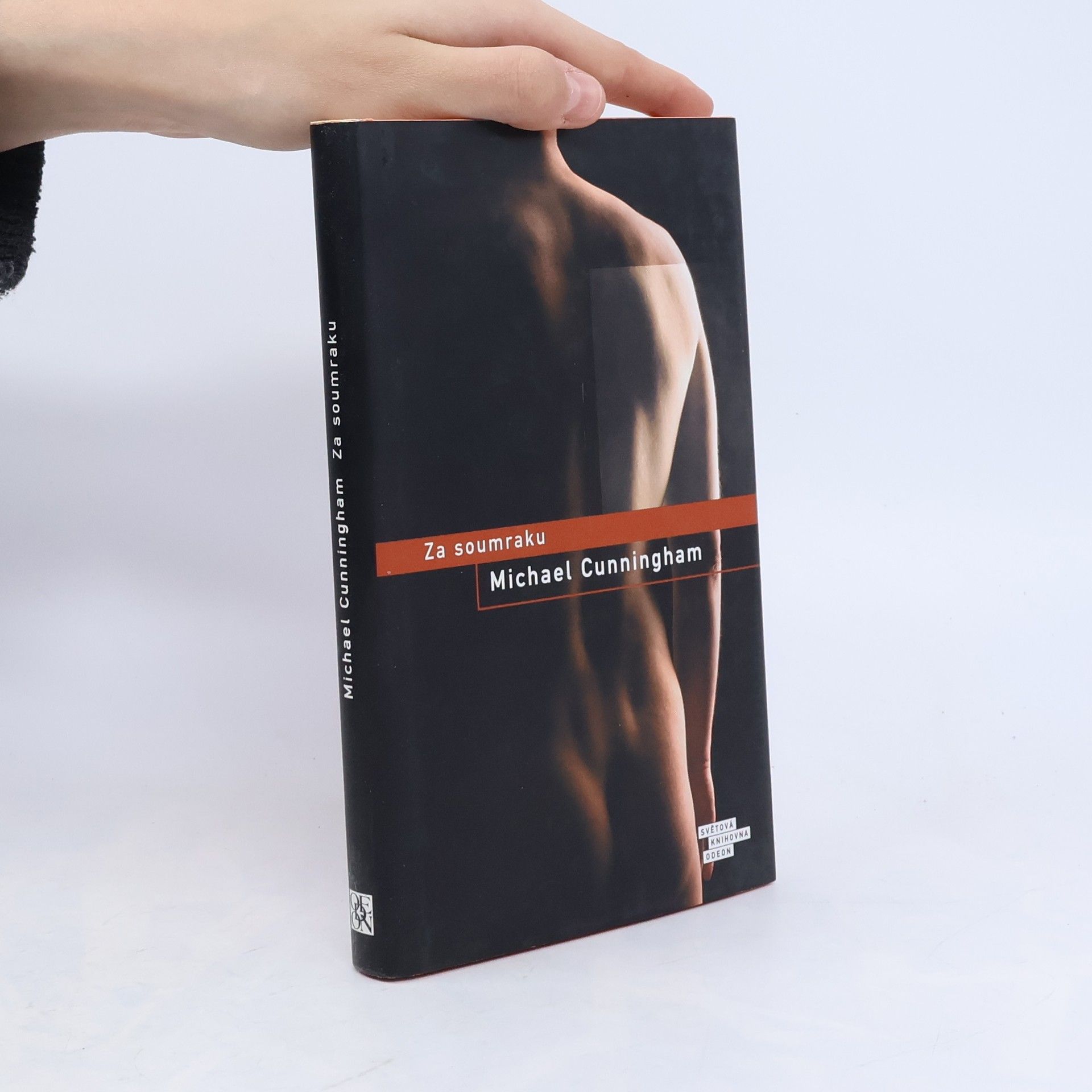 Michael Cunningham Za soumraku