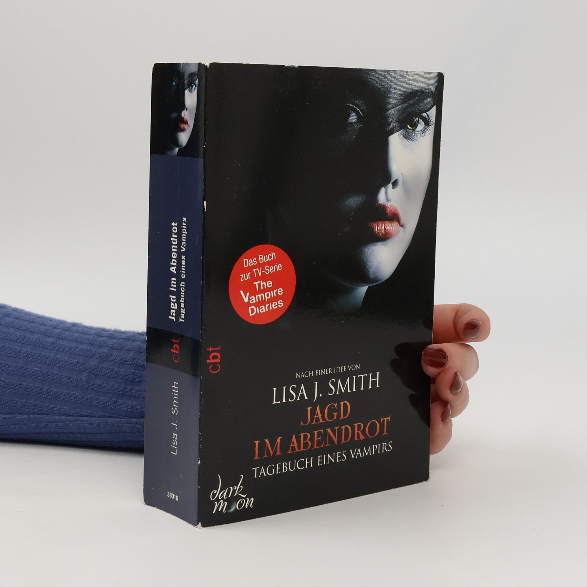 Lisa Jane Smith Jagd im Abendrot