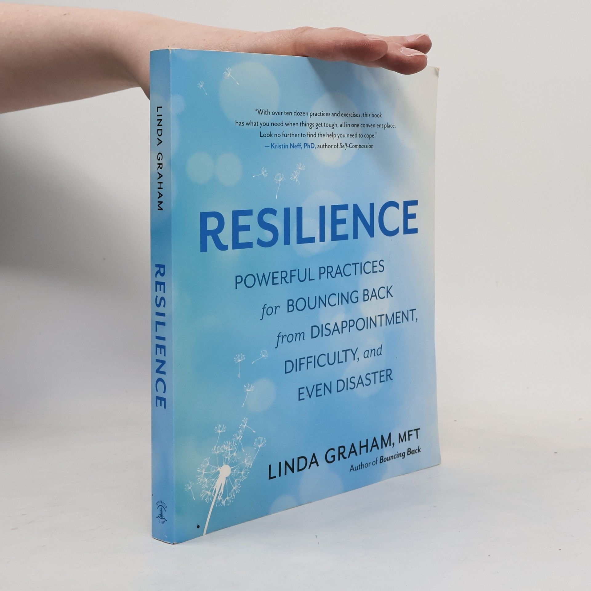 Linda Graham Resilience