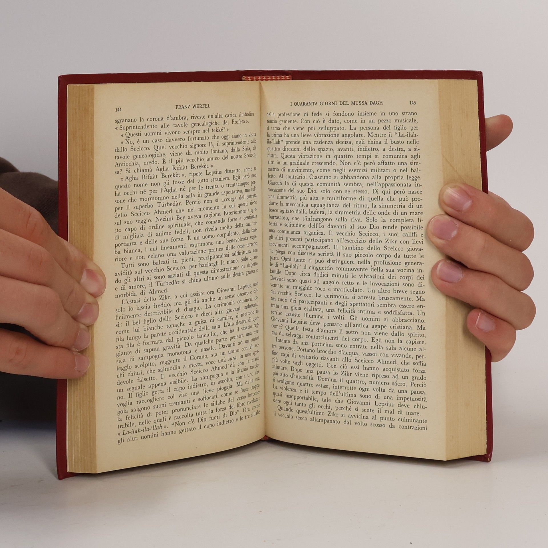 Franz Werfel I quaranta giorni del Mussa Dagh