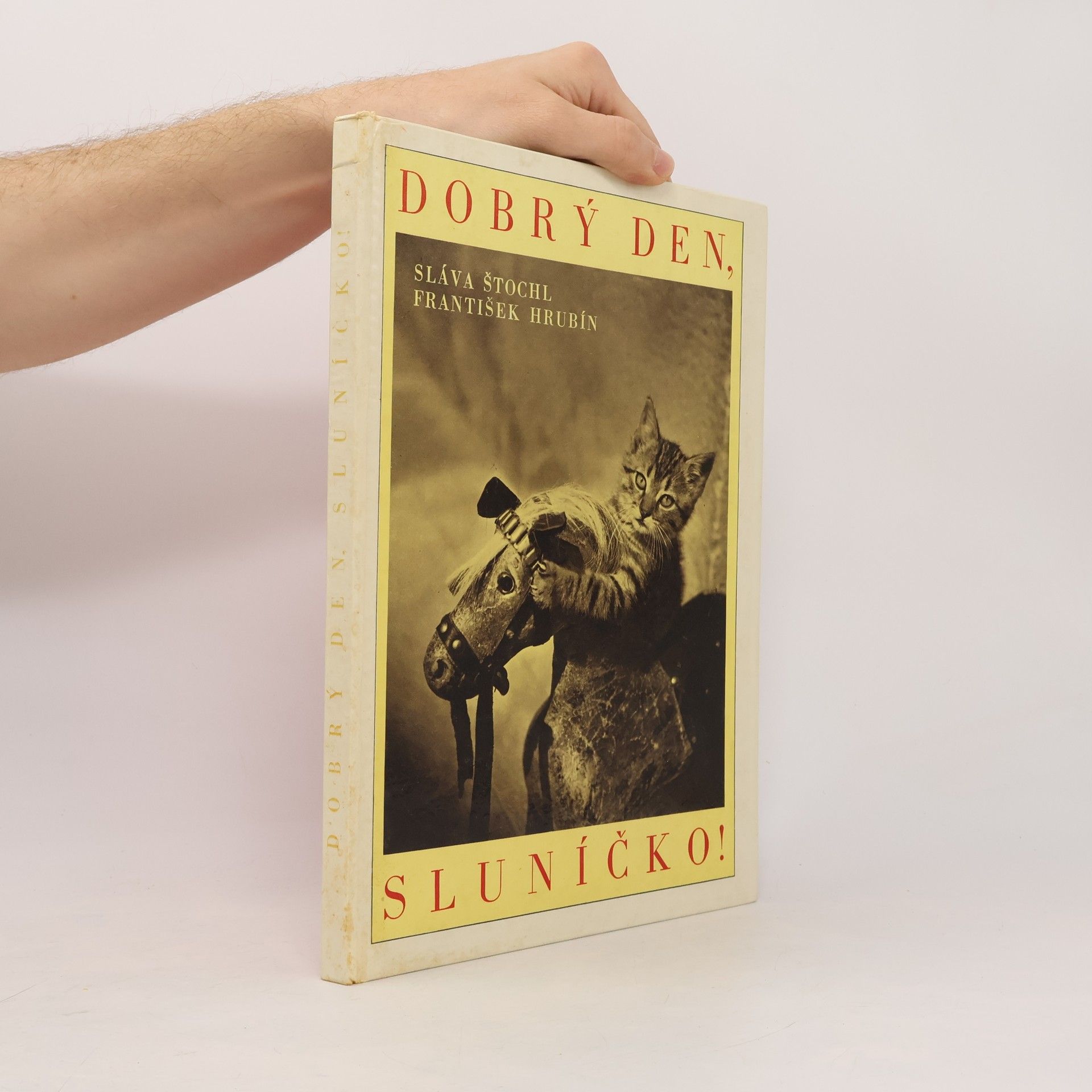 Dobrý den, sluníčko!