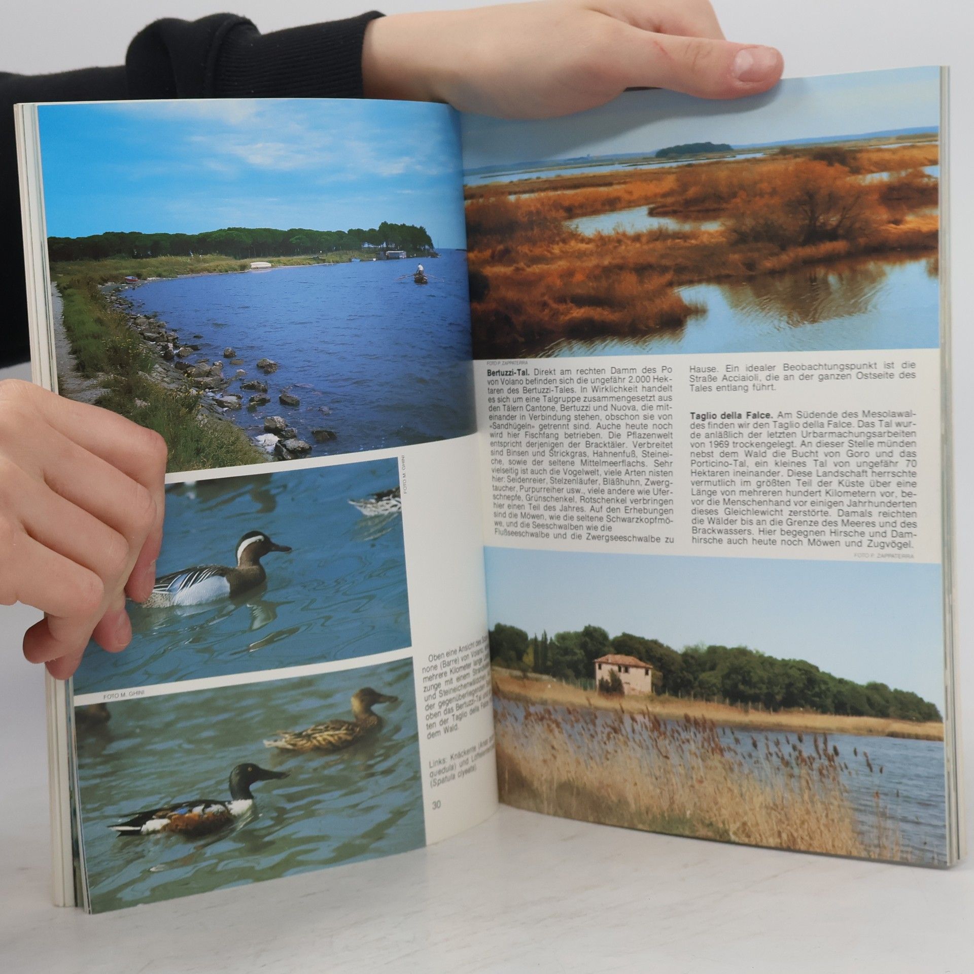 AA.VV. Naturschutzgebiet in po Delta